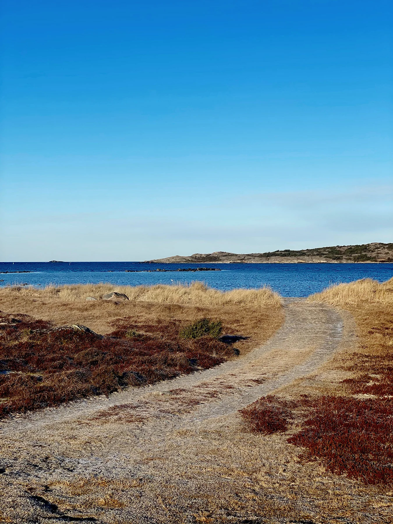 blogg-210309balemorgonpromenad5.jpg