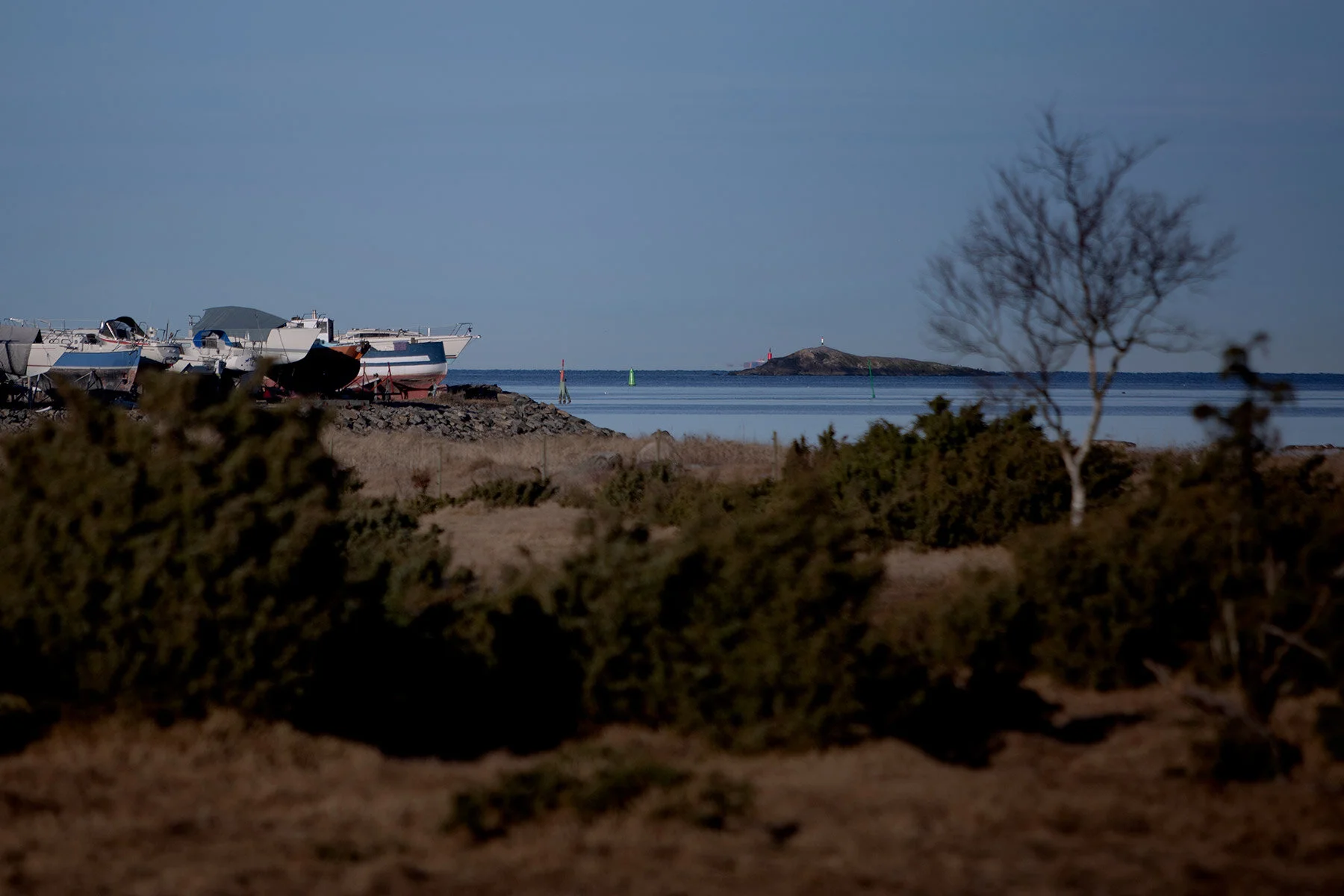 blogg-210318morgonpromenad1.jpg