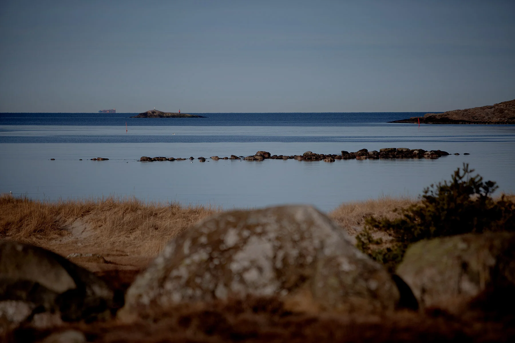 blogg-210318morgonpromenad4.jpg