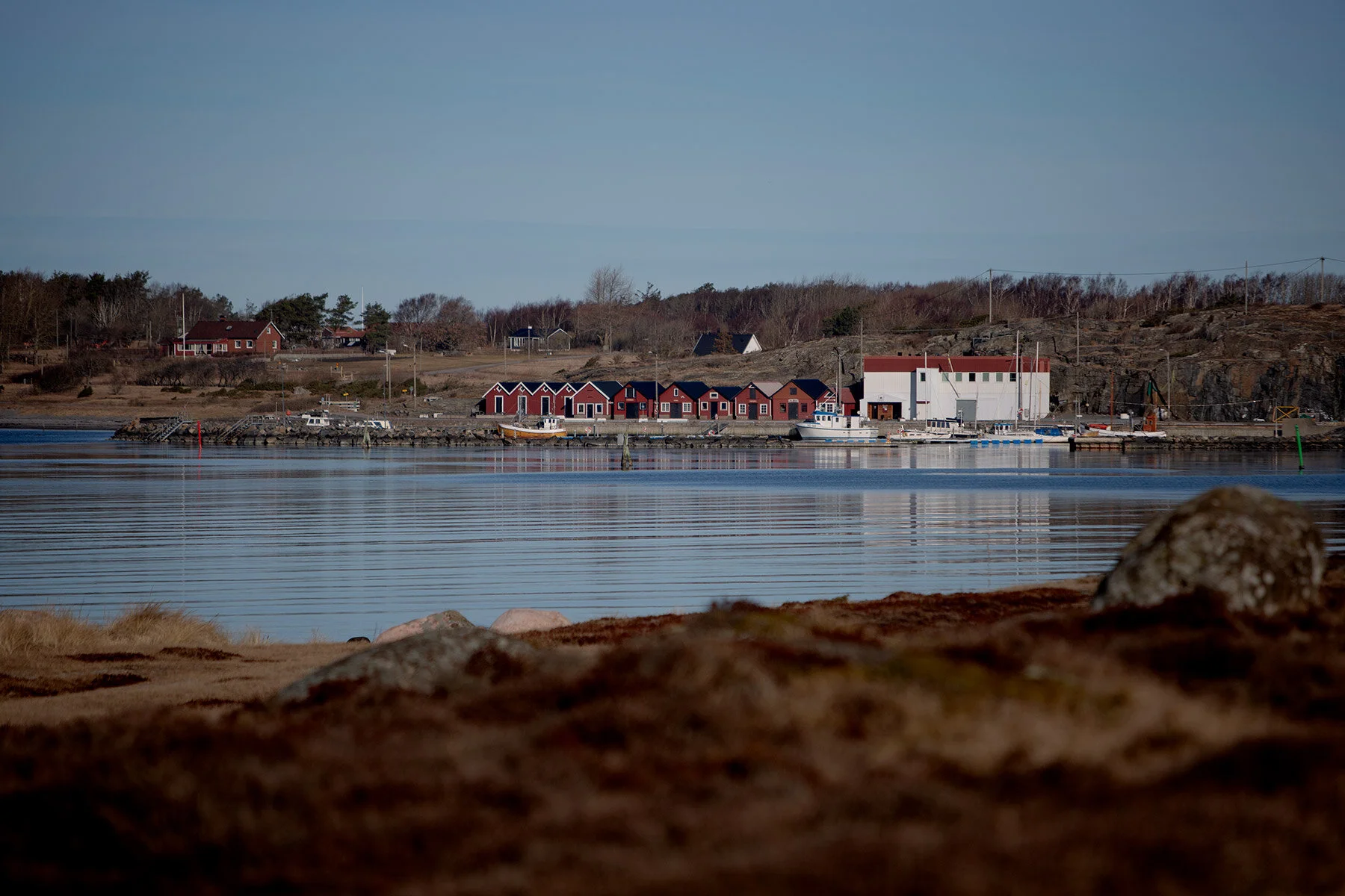 blogg-210318morgonpromenad5.jpg