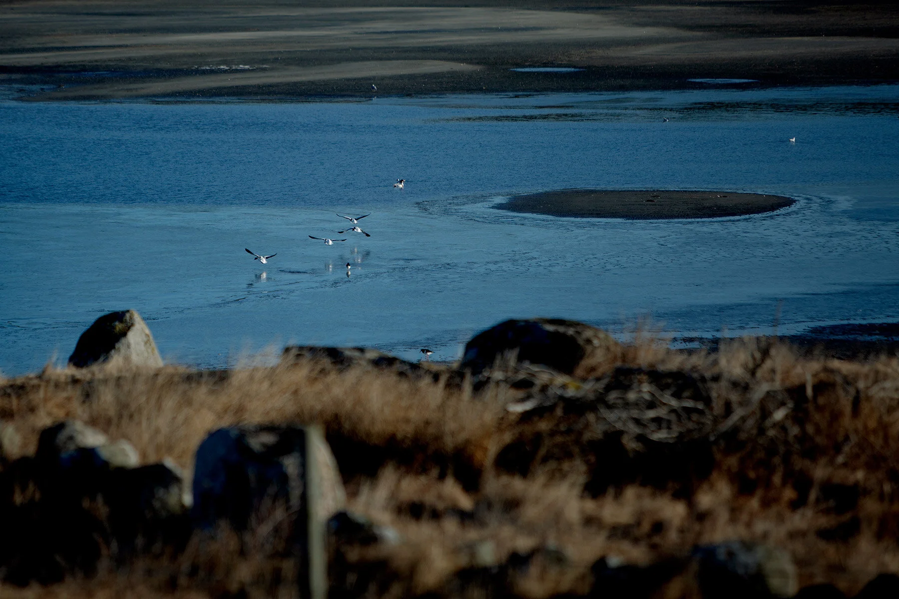 blogg-210318morgonpromenad7.jpg