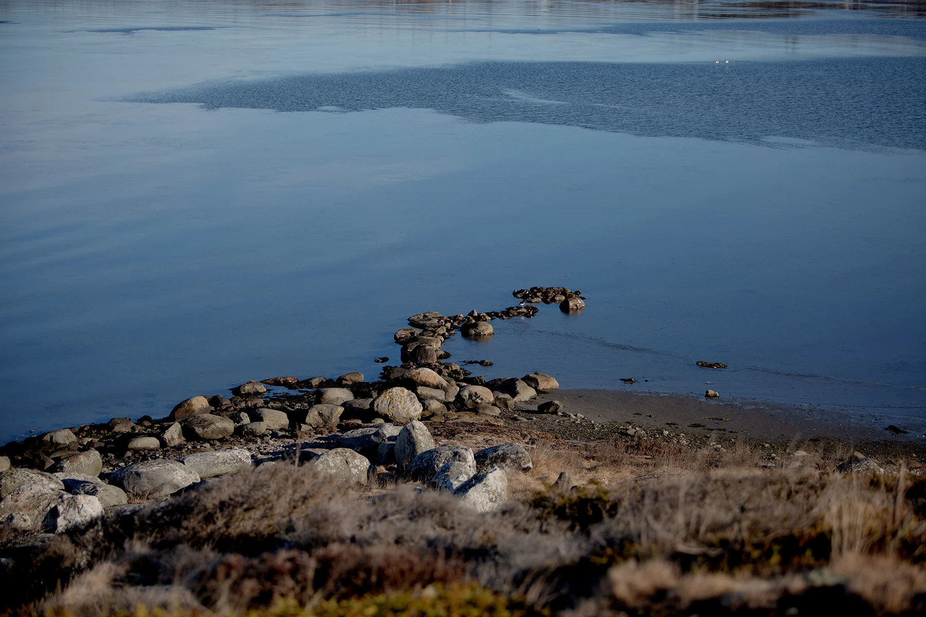 blogg-210318morgonpromenad8.jpg