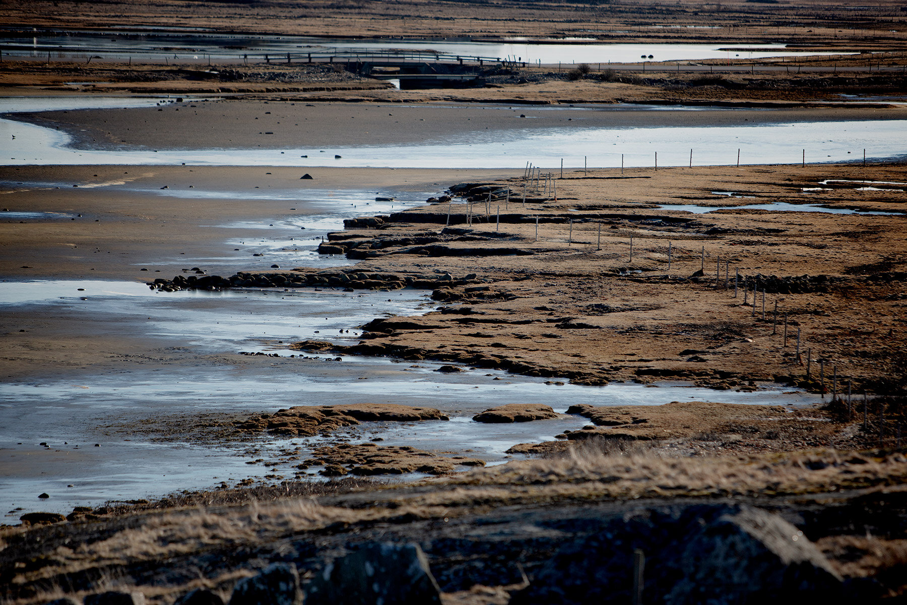 blogg-210318morgonpromenad9.jpg