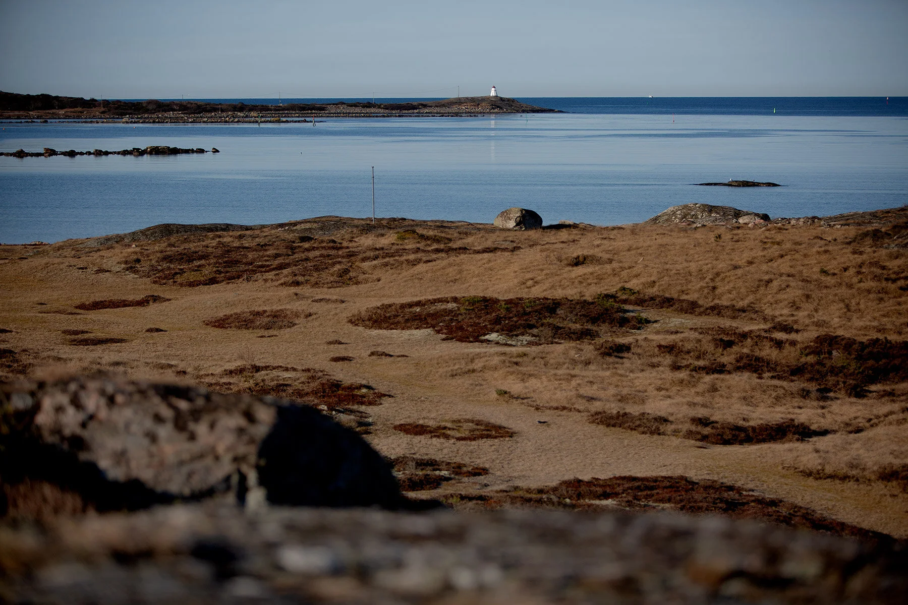 blogg-210318morgonpromenad10.jpg