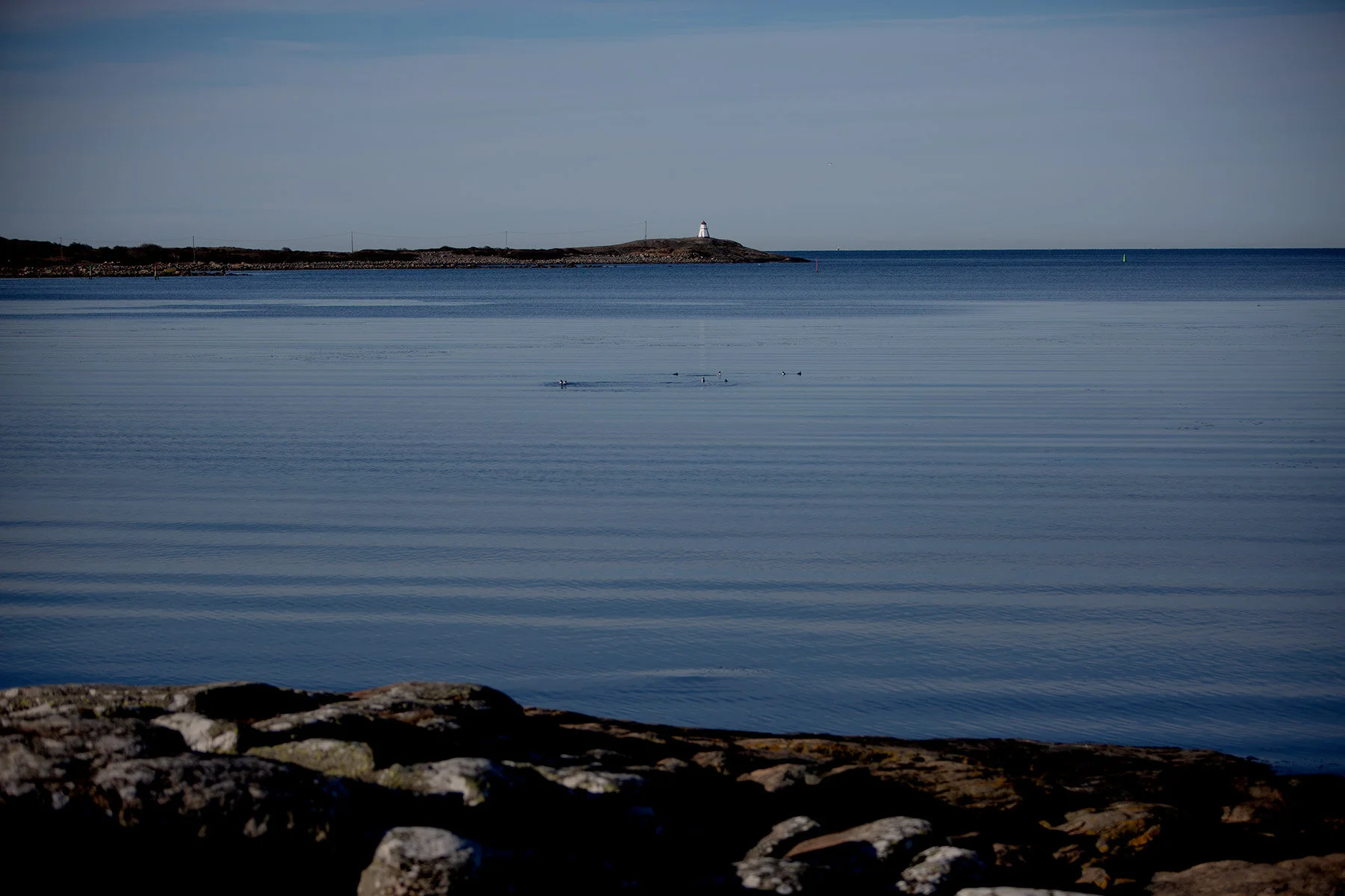 blogg-210318morgonpromenad13.jpg