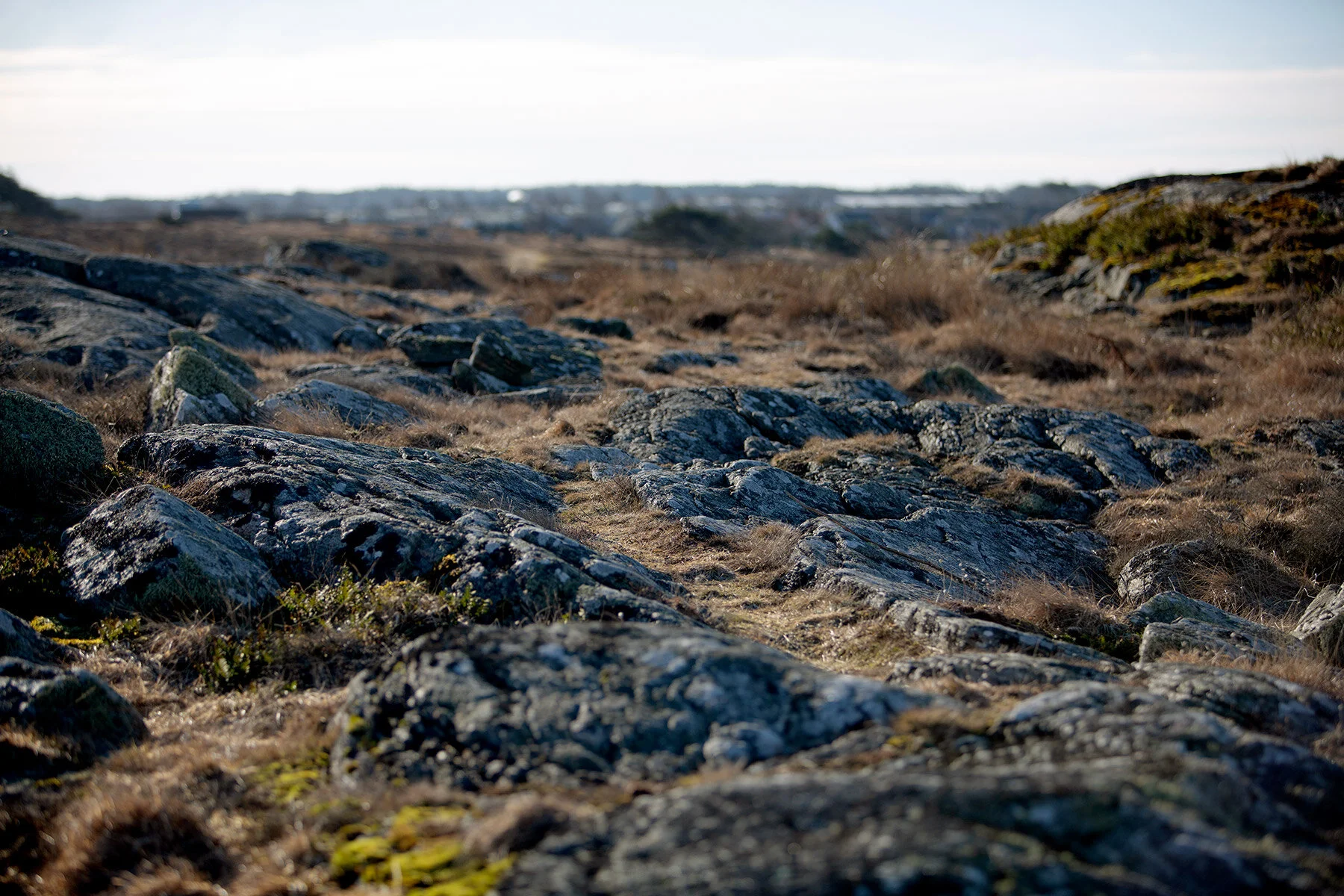 blogg-210318morgonpromenad14.jpg