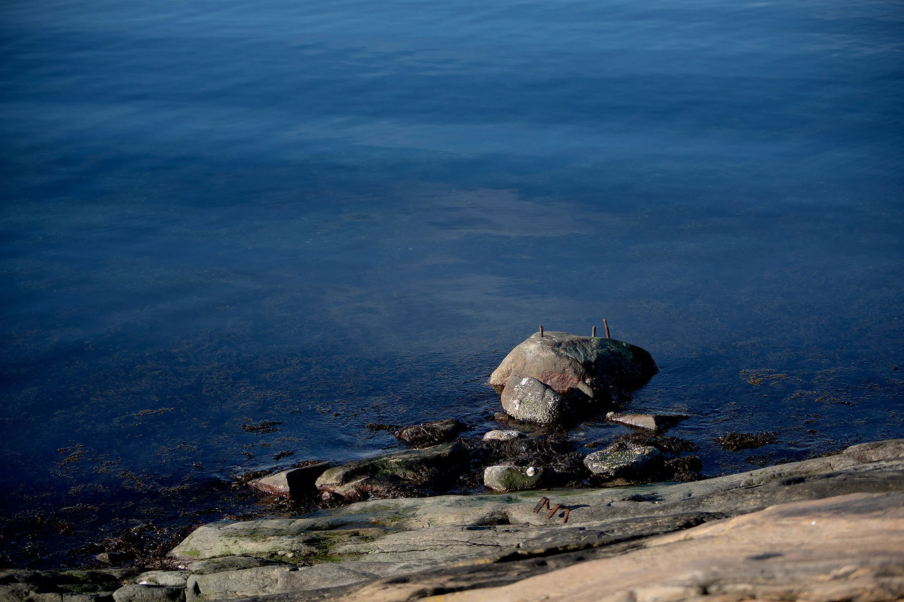 blogg-210318morgonpromenad15.jpg