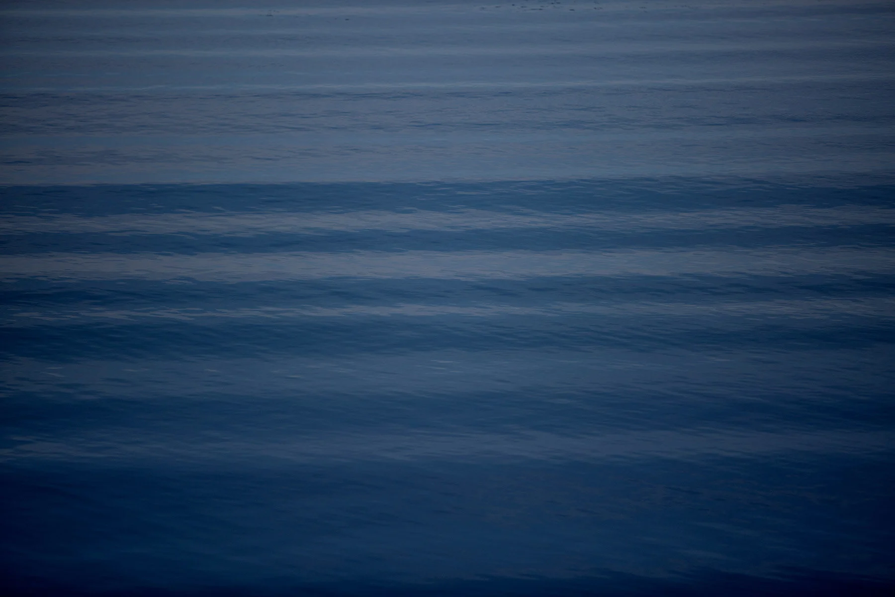 blogg-210318morgonpromenad17.jpg