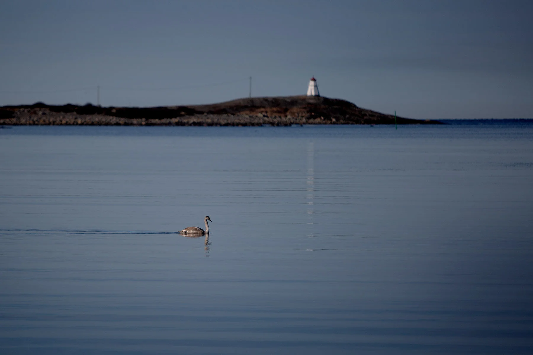 blogg-210318morgonpromenad21.jpg