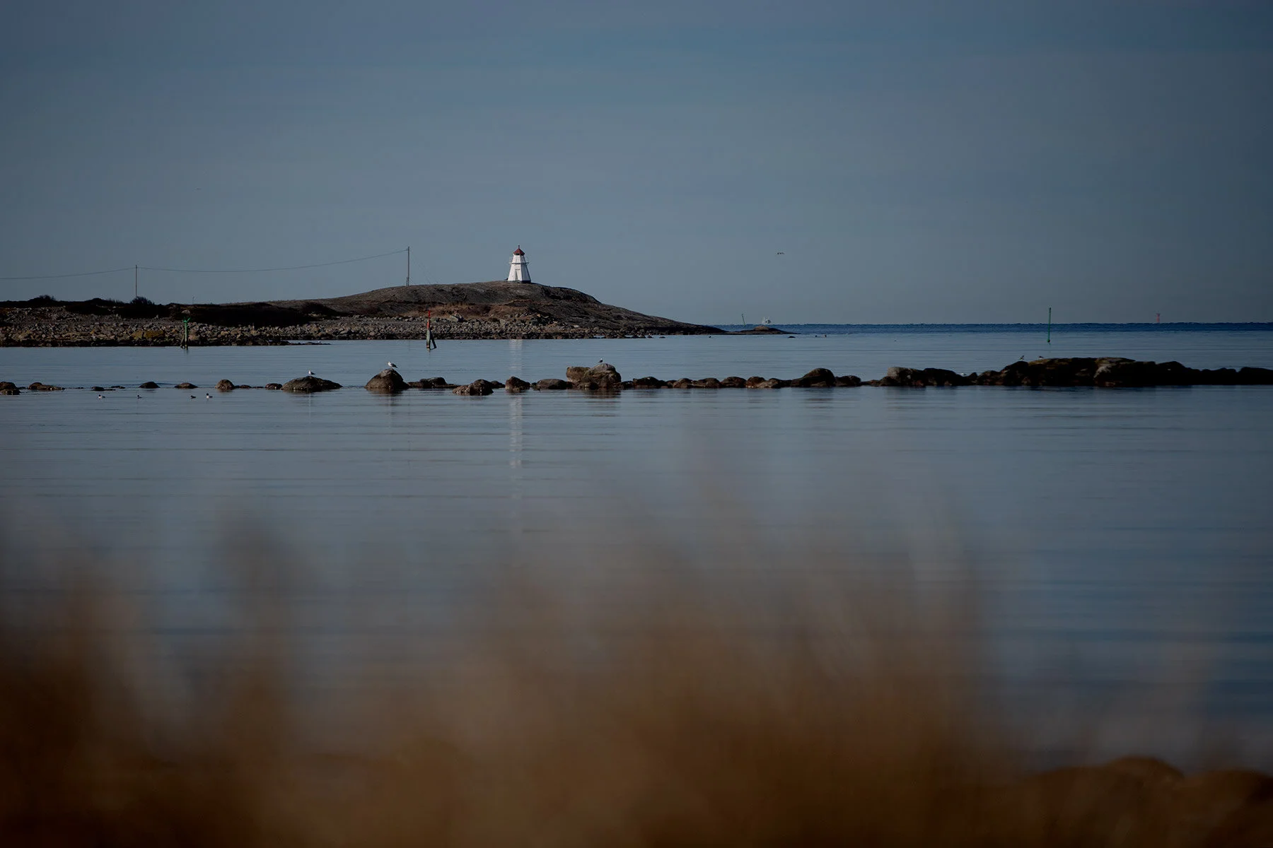 blogg-210318morgonpromenad23.jpg