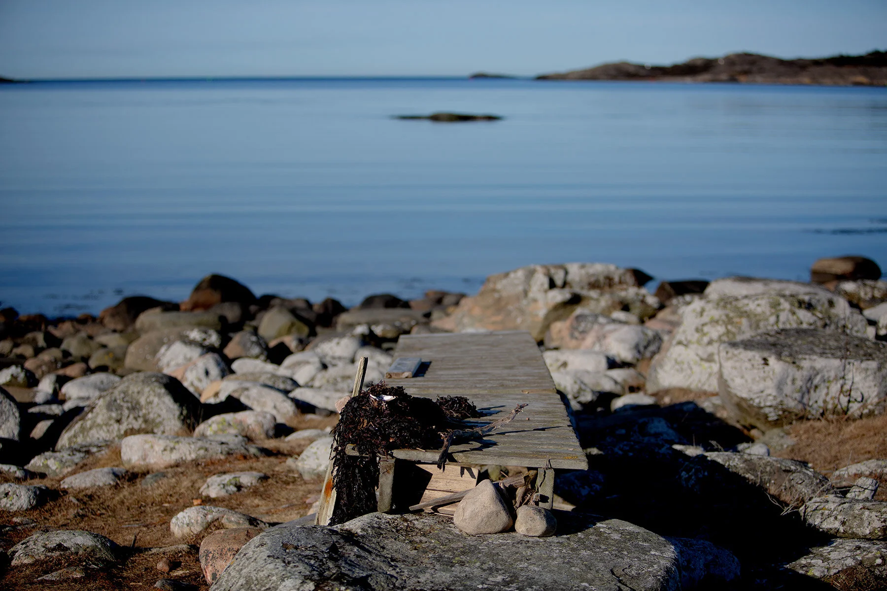 blogg-210318morgonpromenad22.jpg