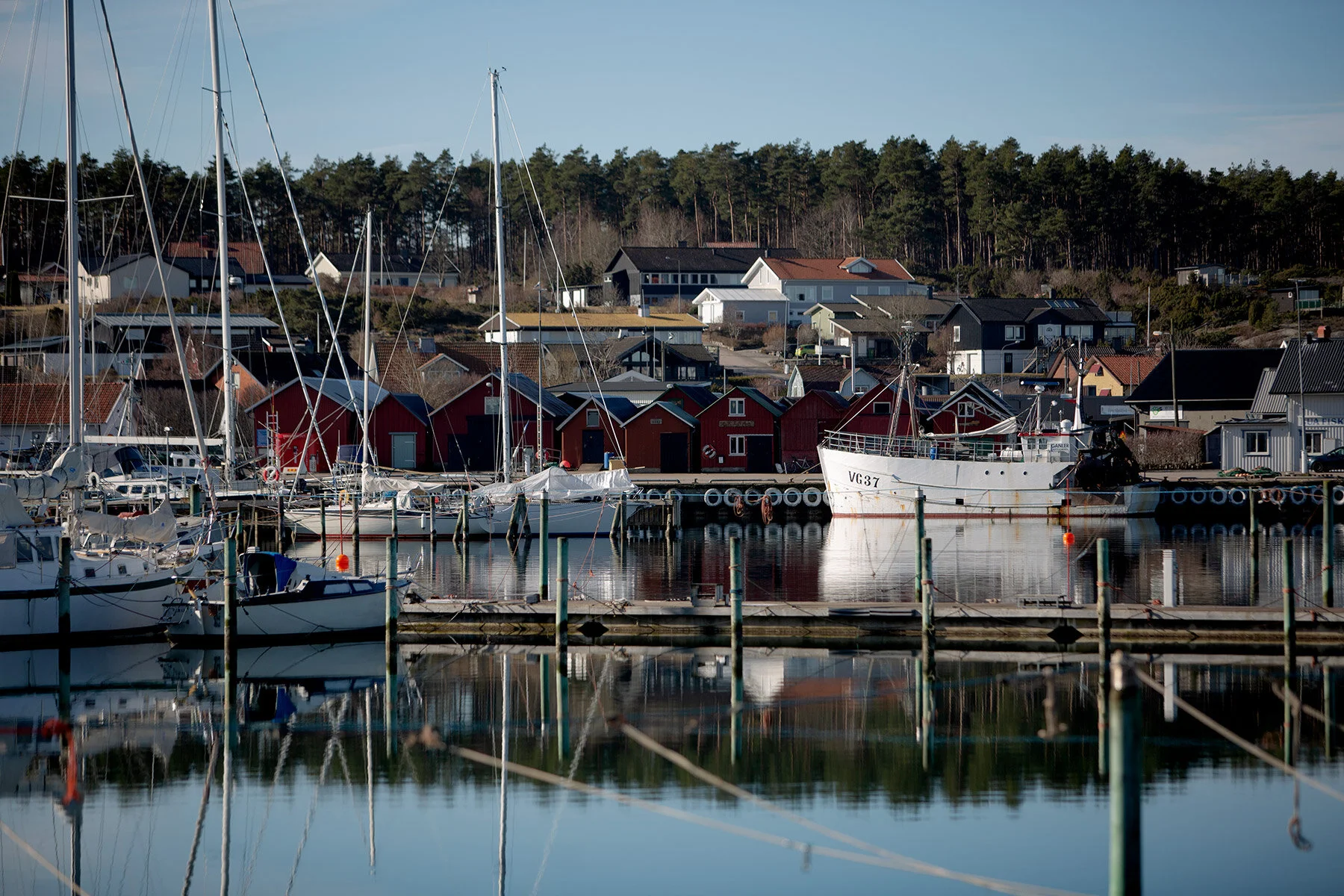 blogg-210318morgonpromenad24.jpg