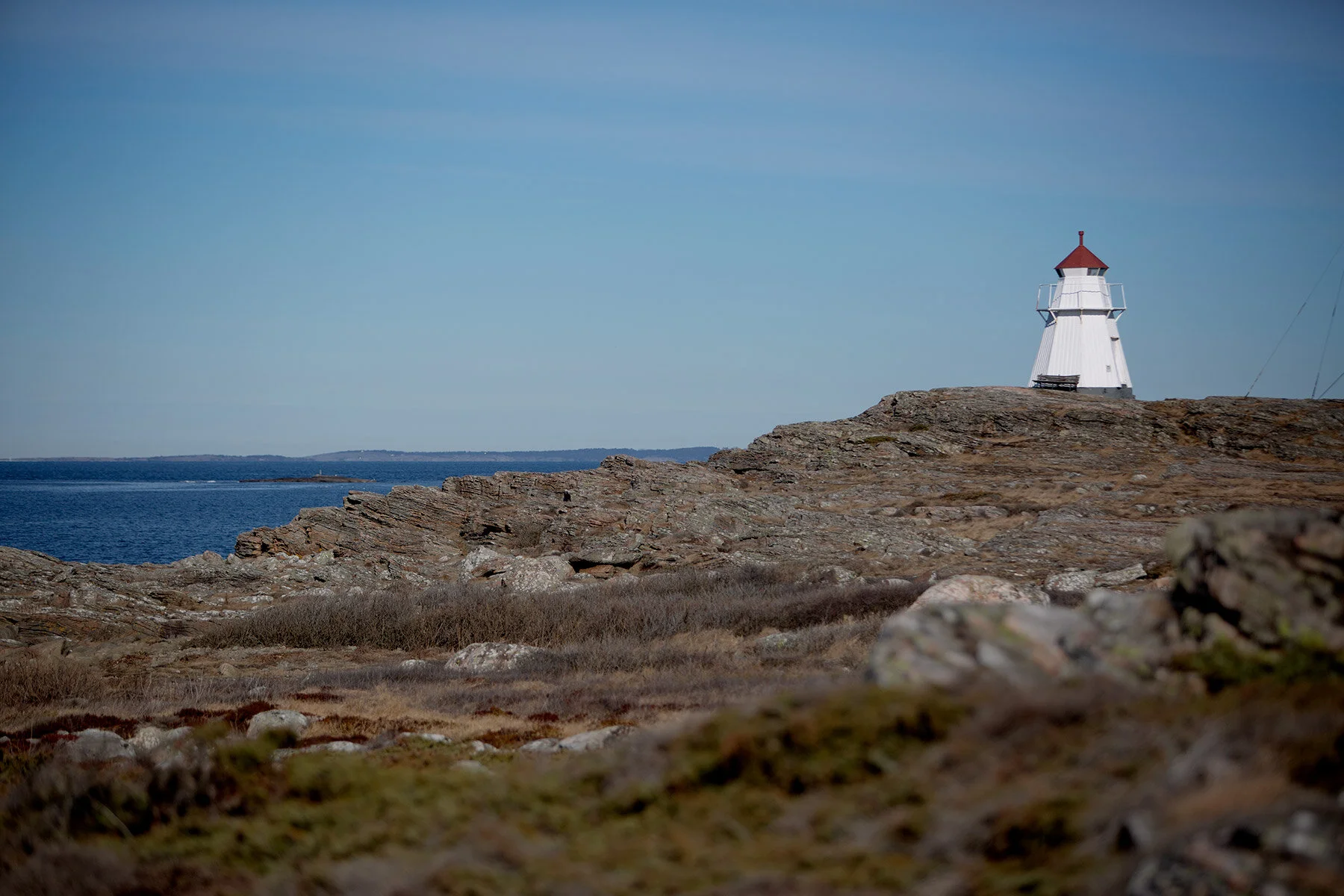 blogg-210318morgonpromenad25.jpg