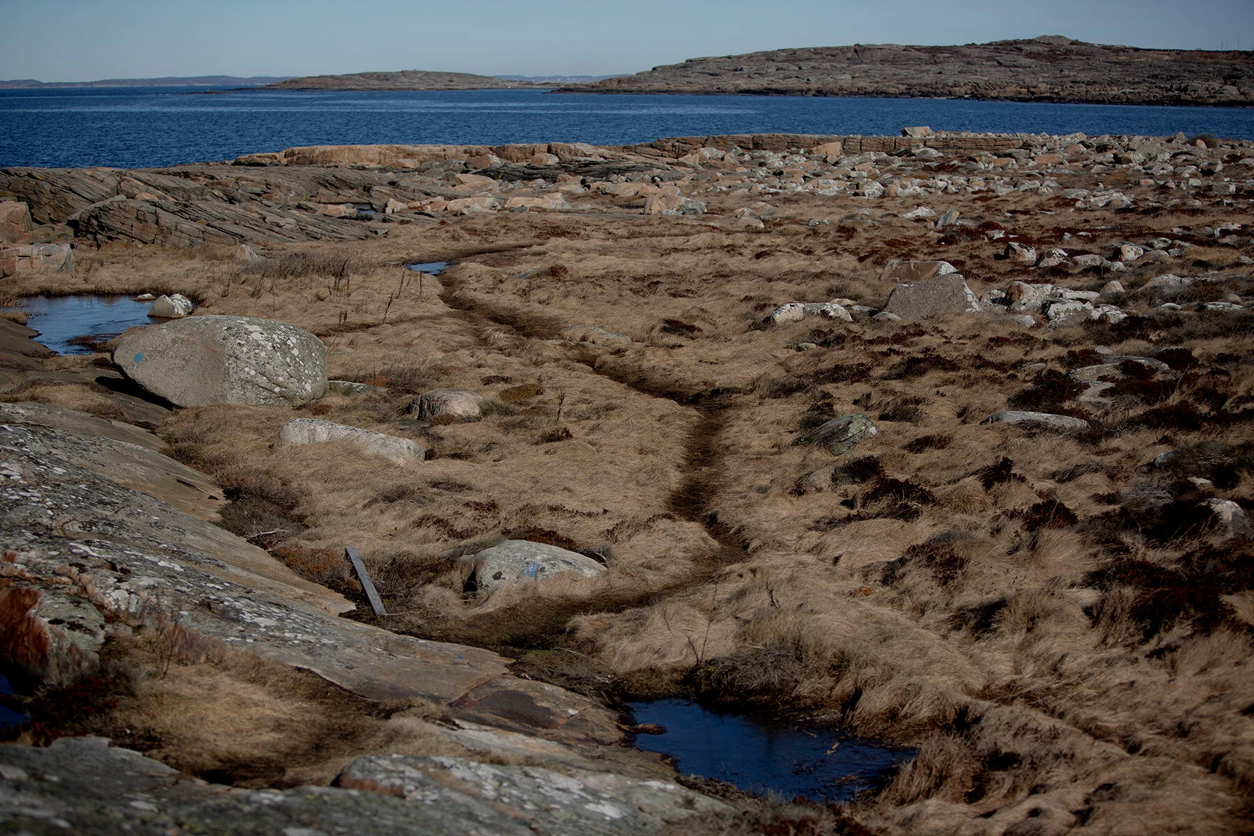 blogg-210318morgonpromenad27.jpg