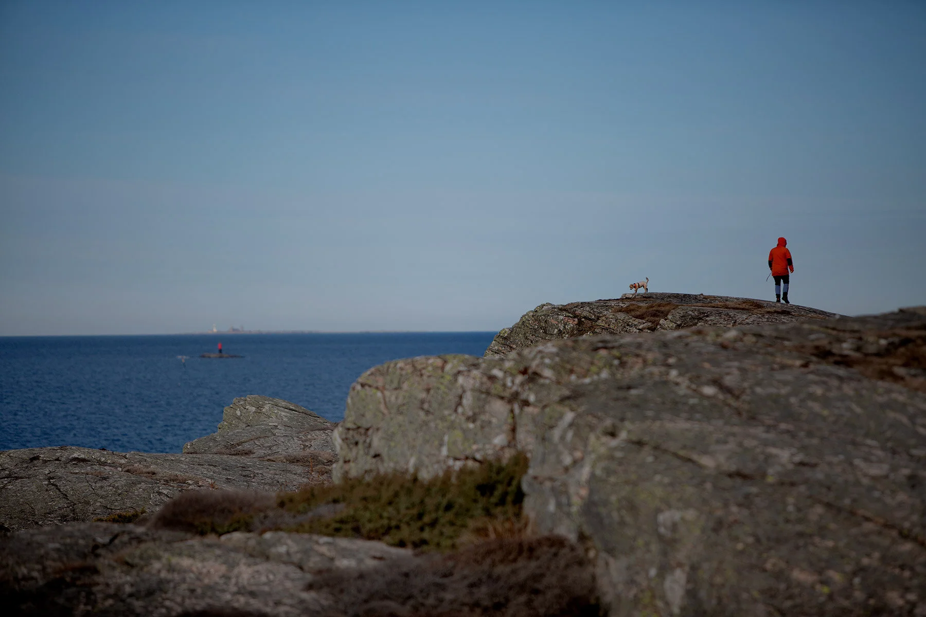 blogg-210318morgonpromenad29.jpg