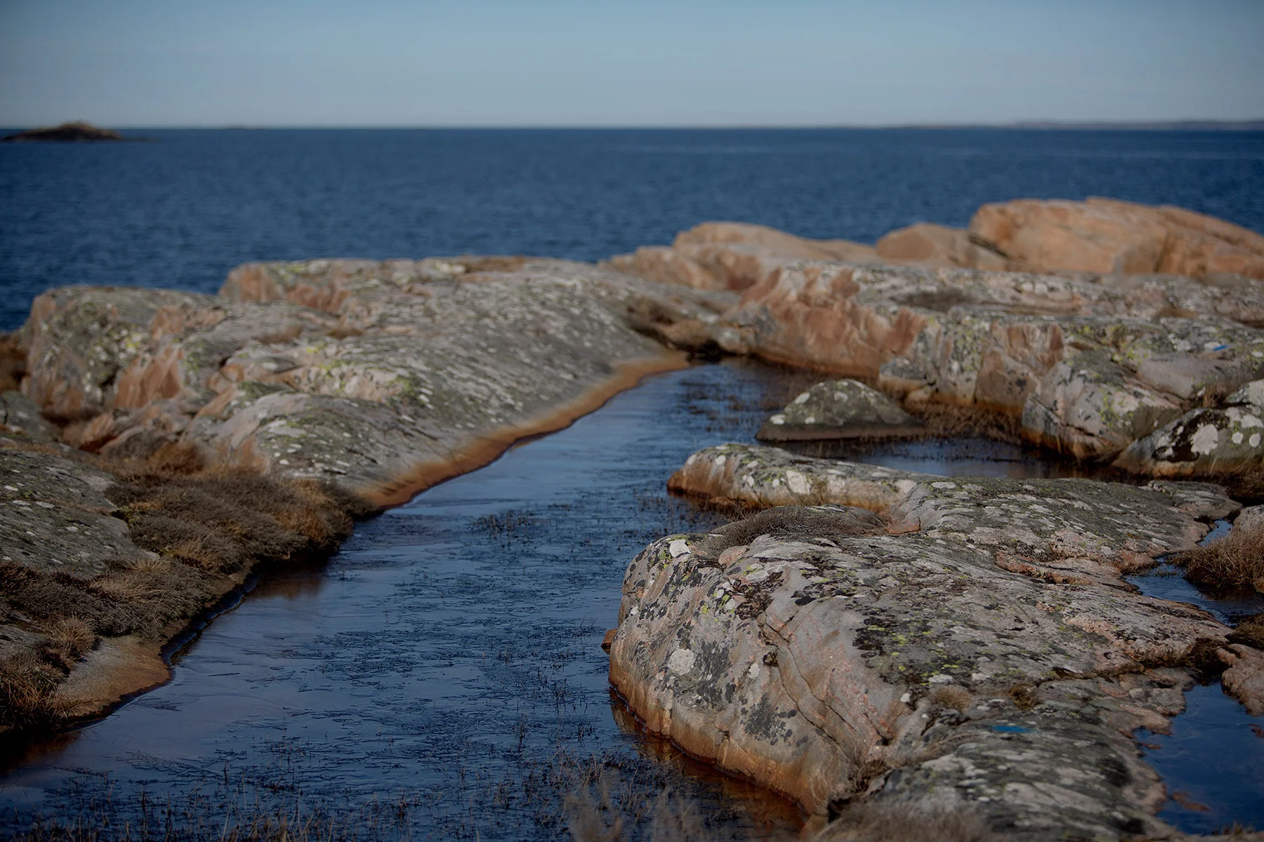 blogg-210318morgonpromenad28.jpg