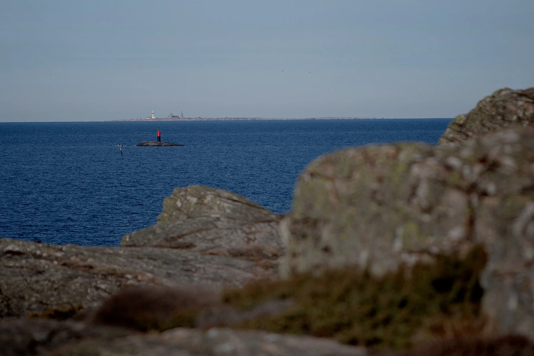 blogg-210318morgonpromenad31.jpg