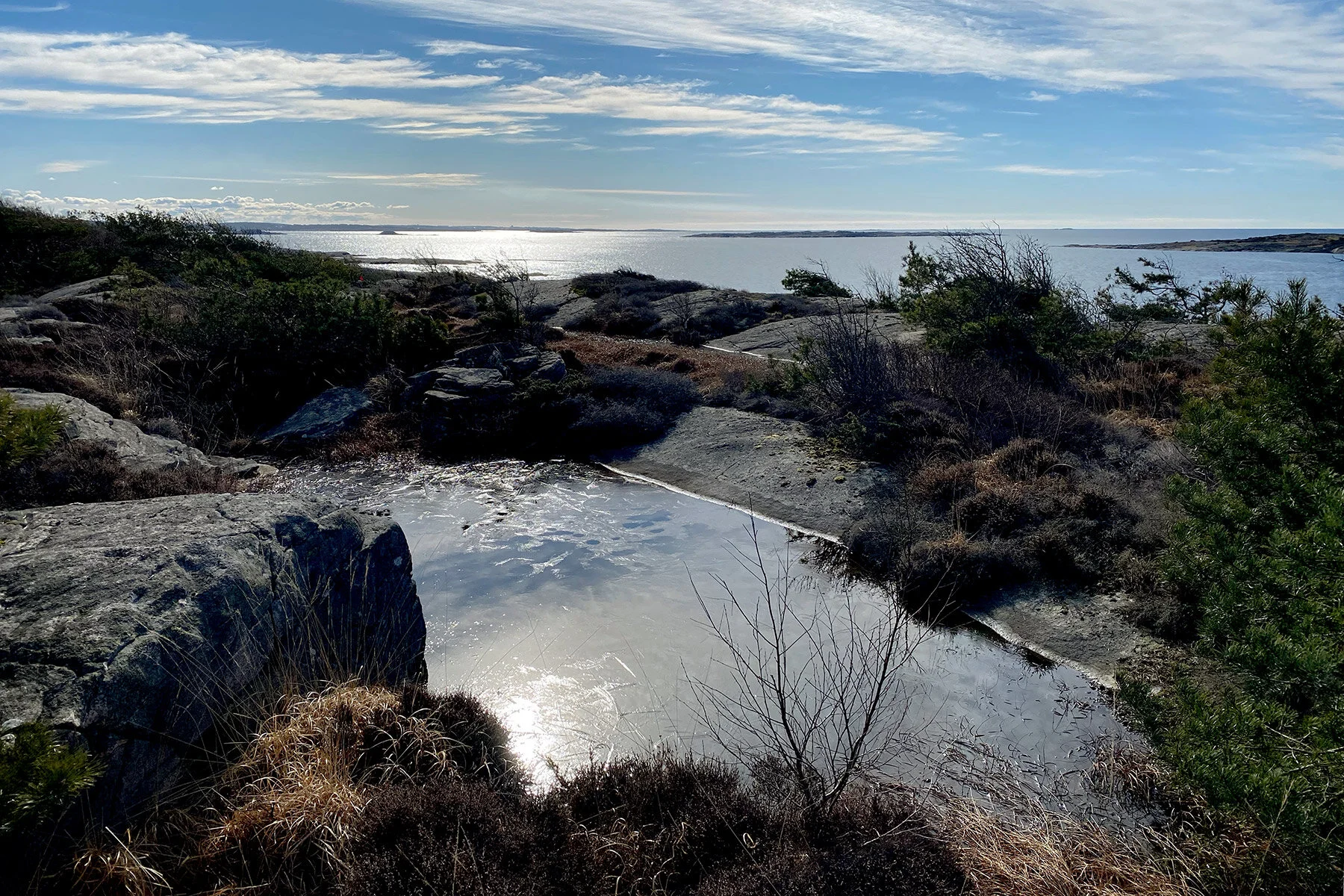 blogg-210318morgonpromenad30.jpg