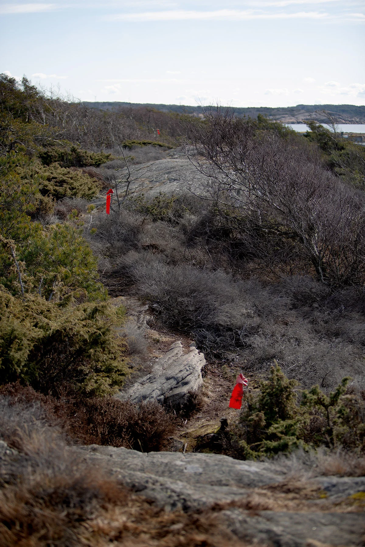 blogg-210318morgonpromenad34.jpg