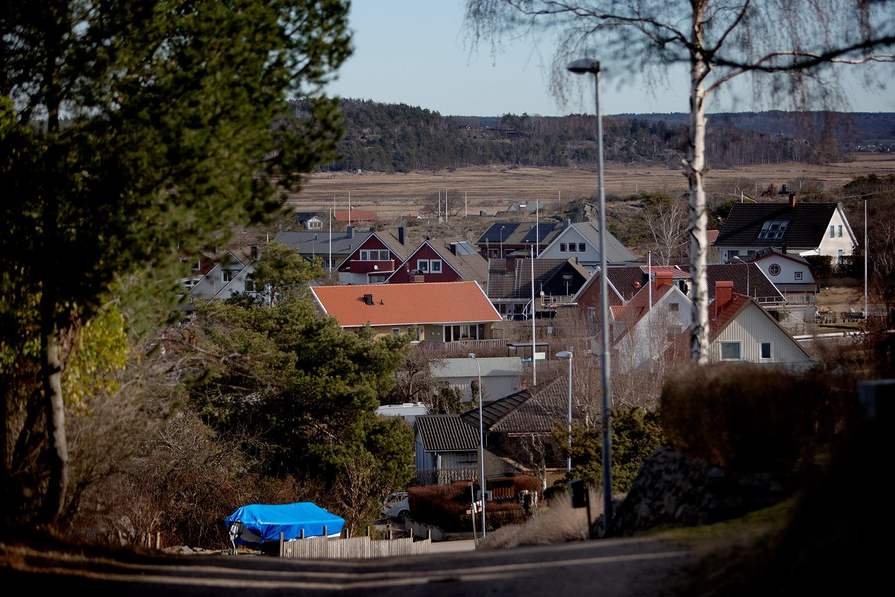 blogg-210318morgonpromenad36.jpg