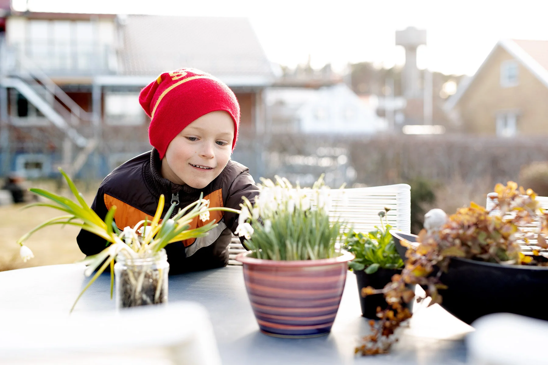 blogg-210318bertilsfarmorblommor1.jpg