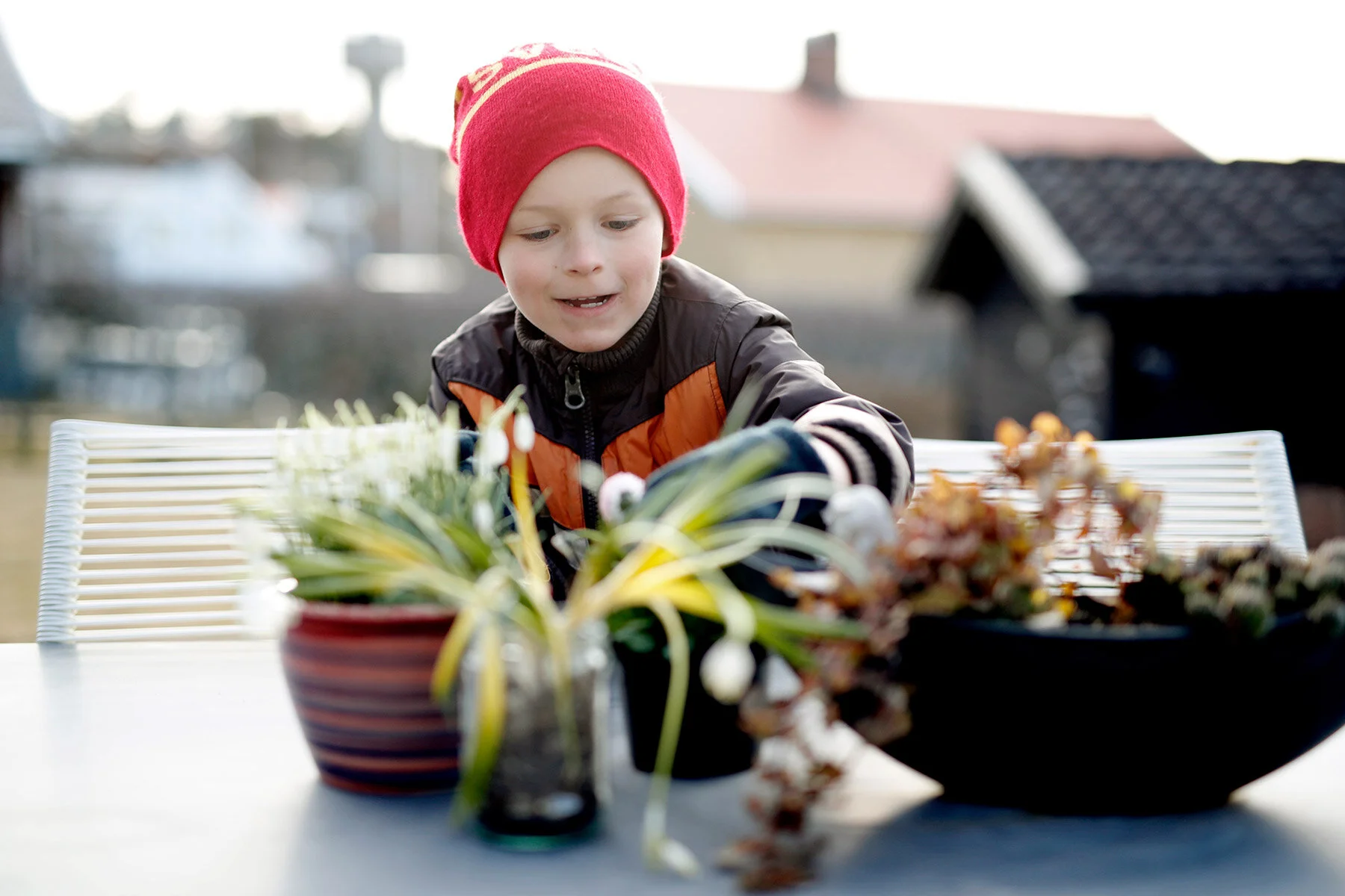 blogg-210318bertilsfarmorblommor3.jpg