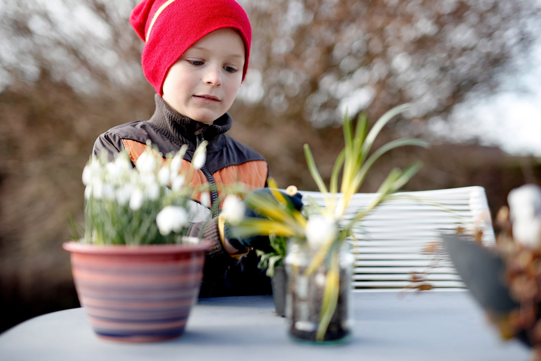 blogg-210318bertilsfarmorblommor9.jpg