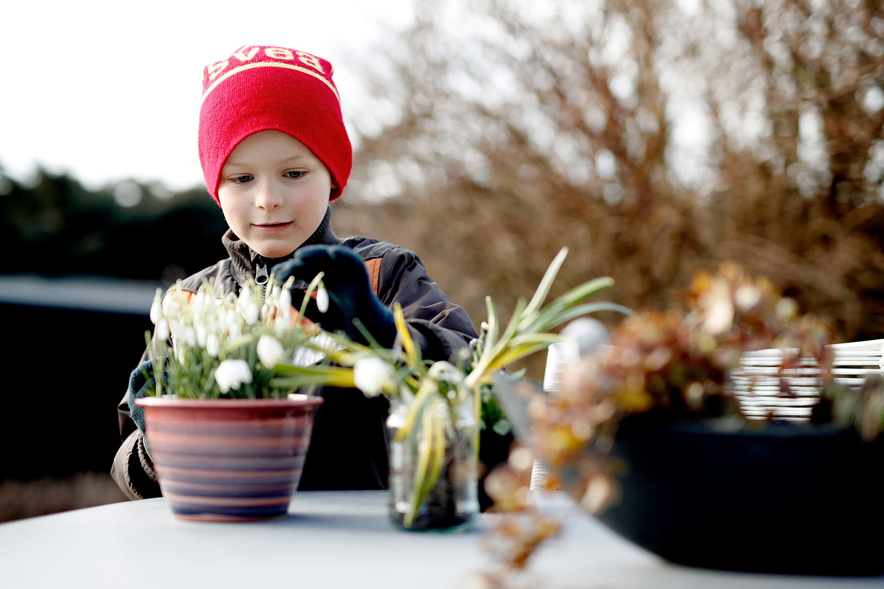 blogg-210318bertilsfarmorblommor14.jpg