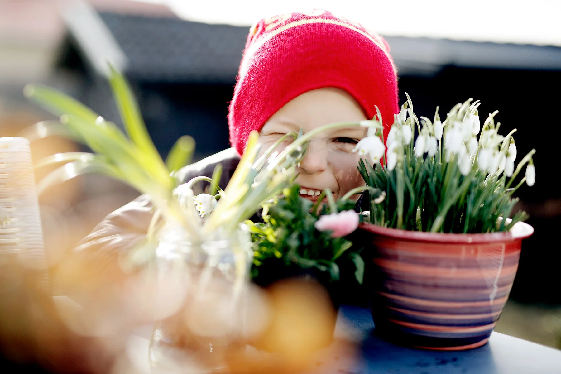 blogg-210318bertilsfarmorblommor15.jpg