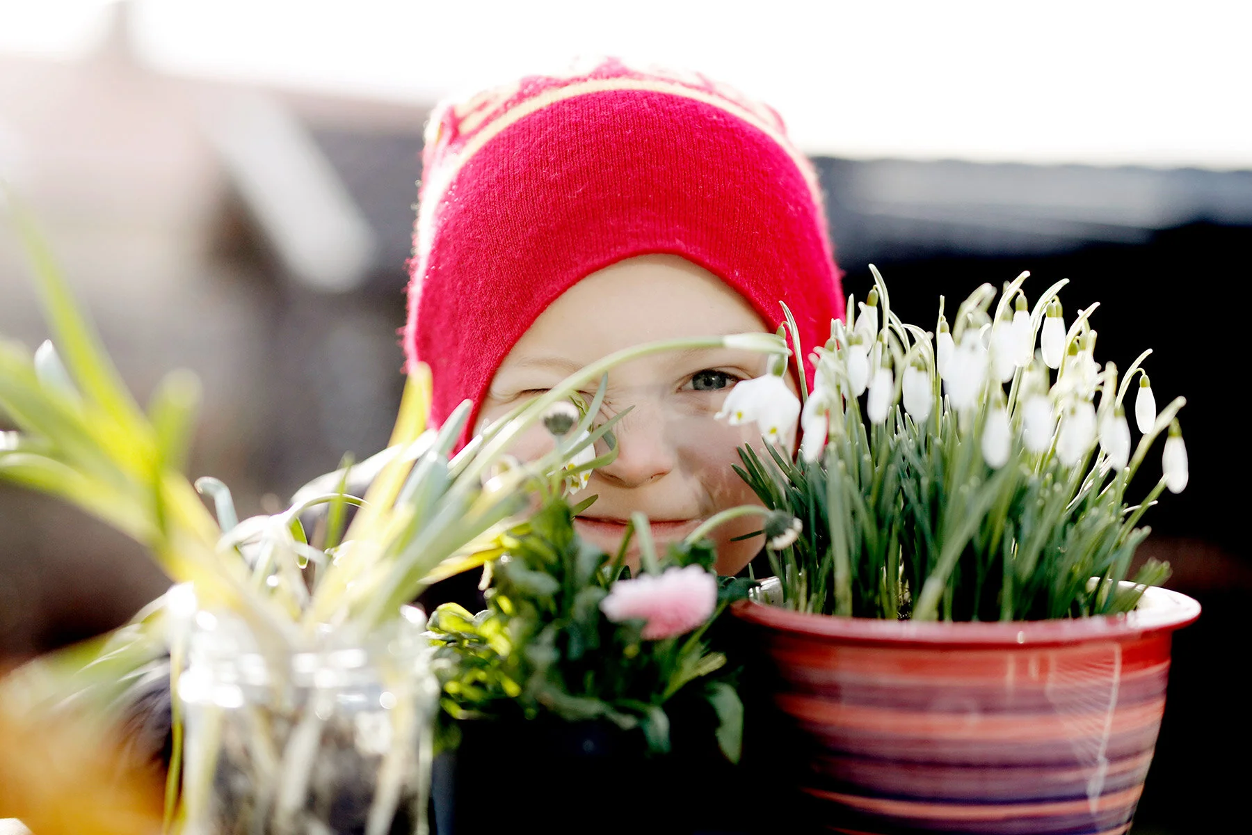 blogg-210318bertilsfarmorblommor16.jpg