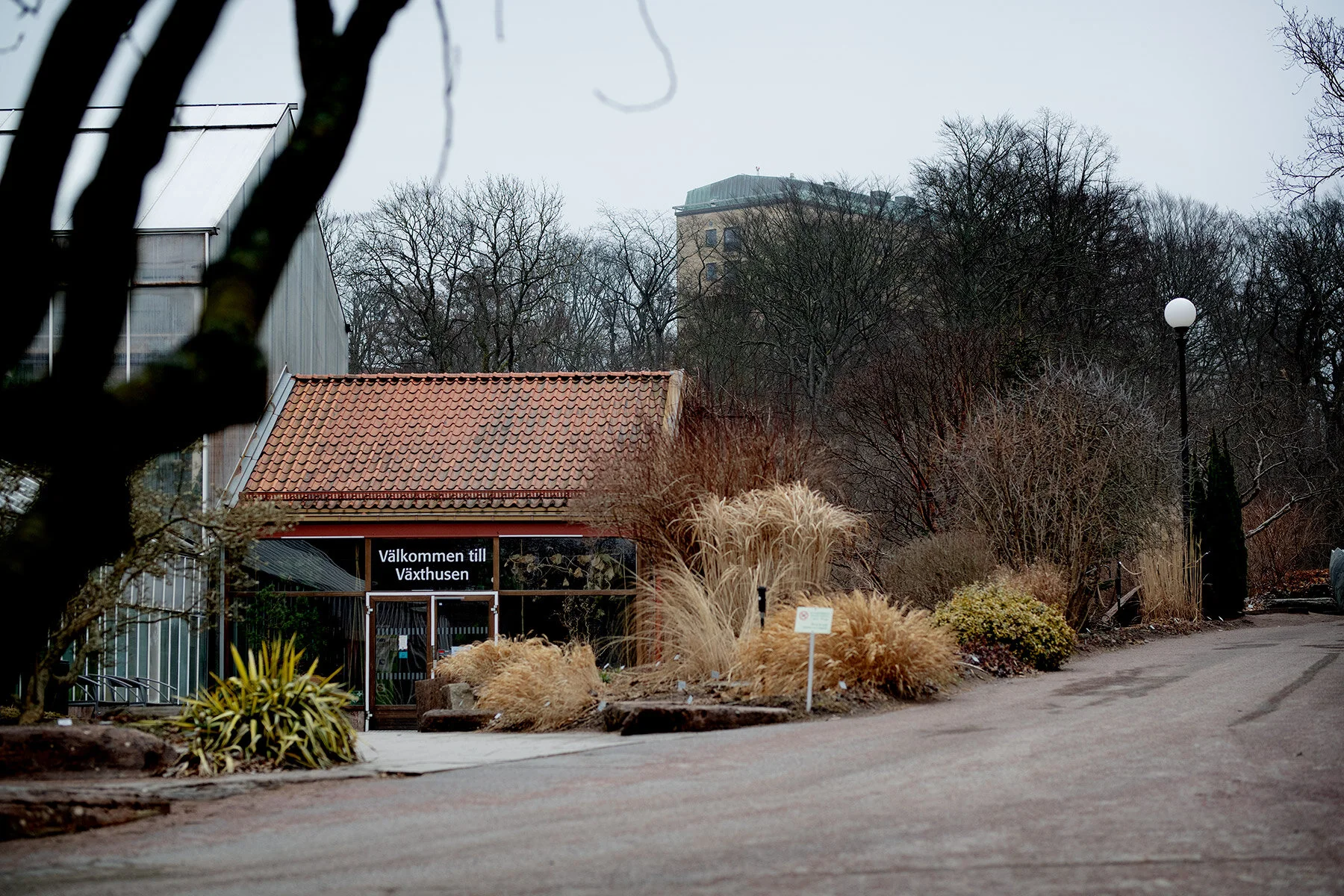 blogg-210323botaniska1.jpg