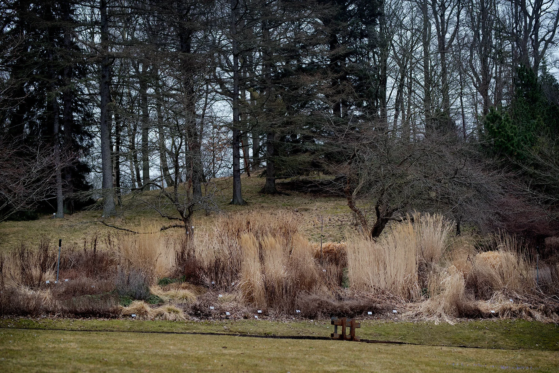 blogg-210323botaniska7.jpg