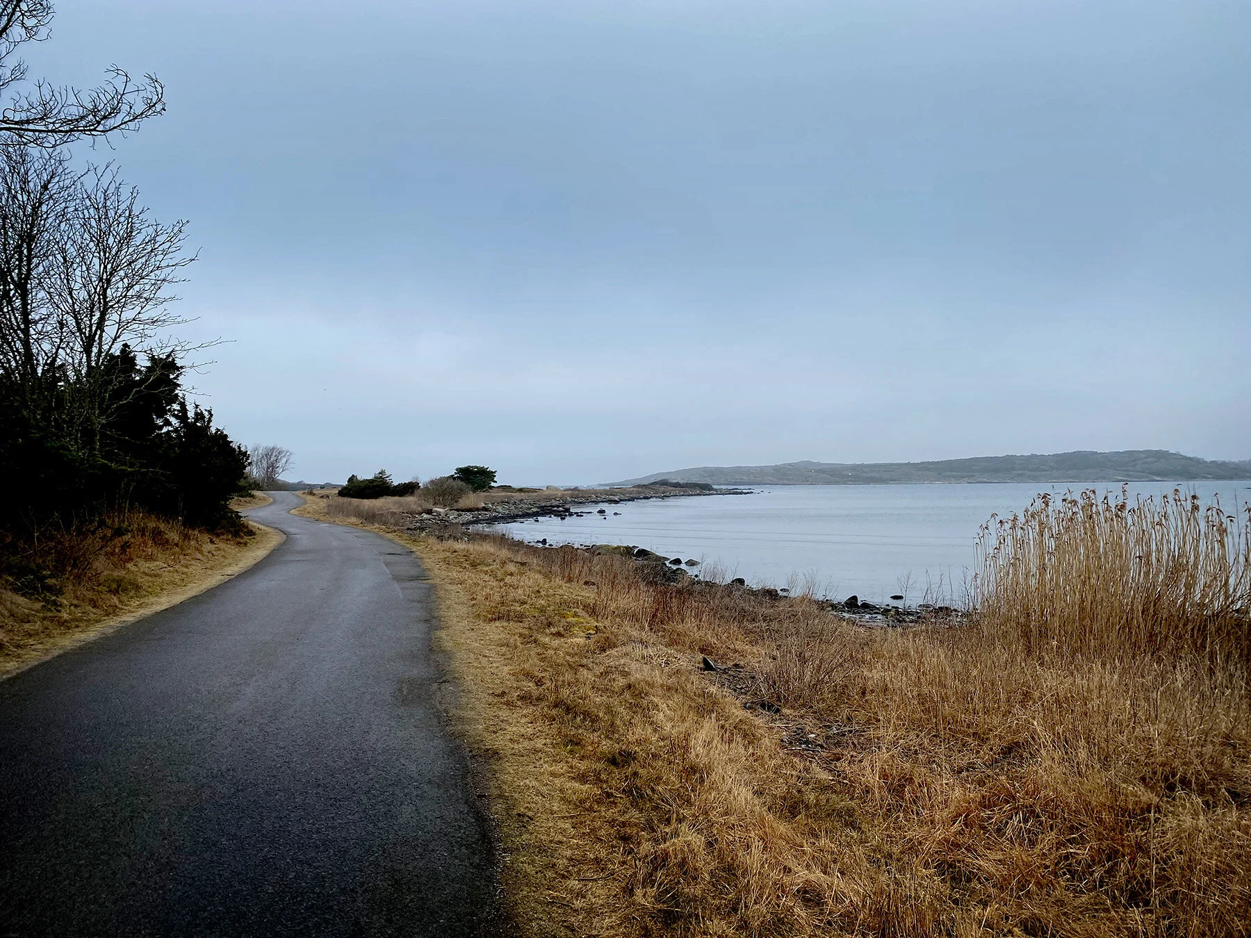 blogg-210325balefyrenpromenad7.jpg