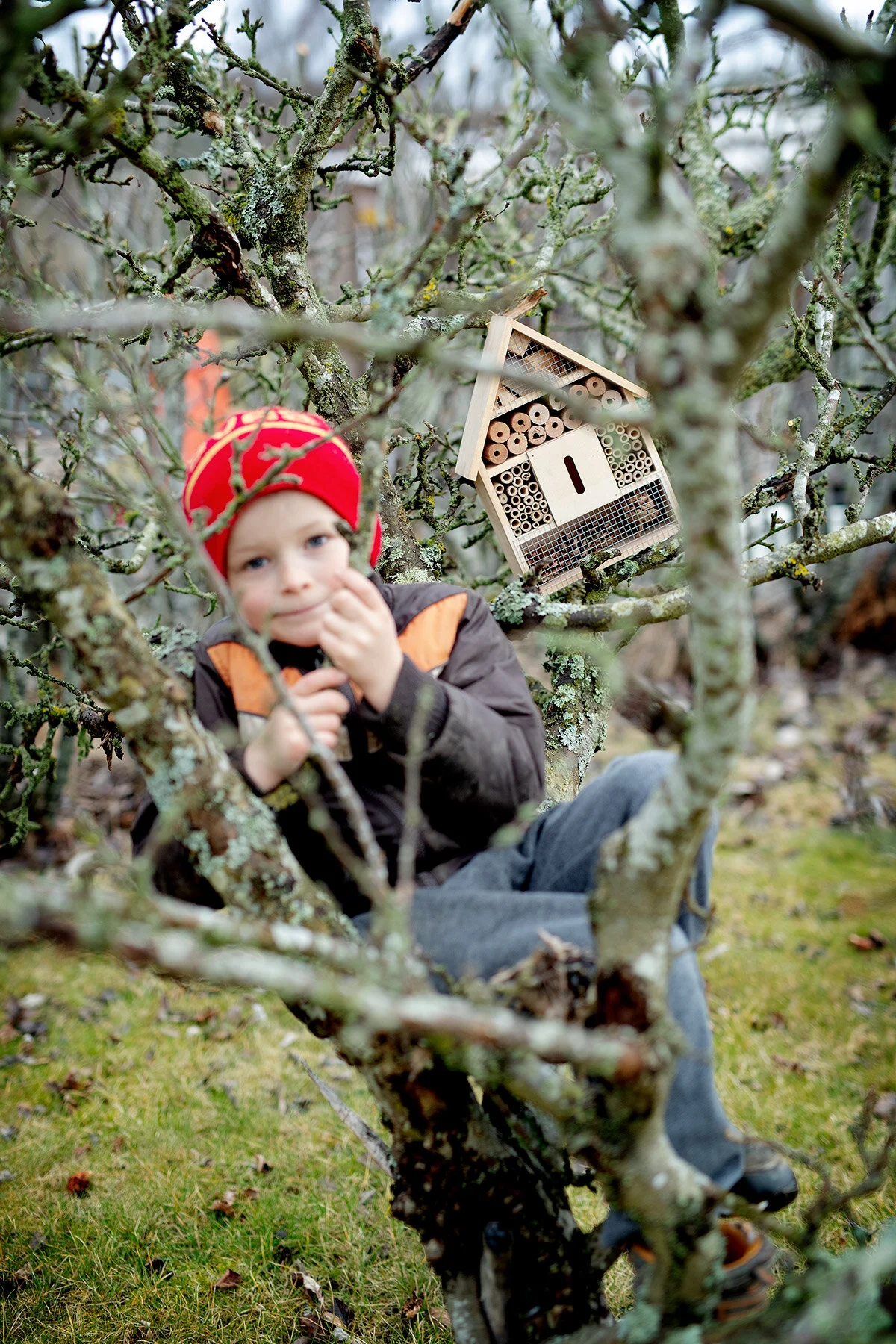 blogg-210329insektshotell3.jpg