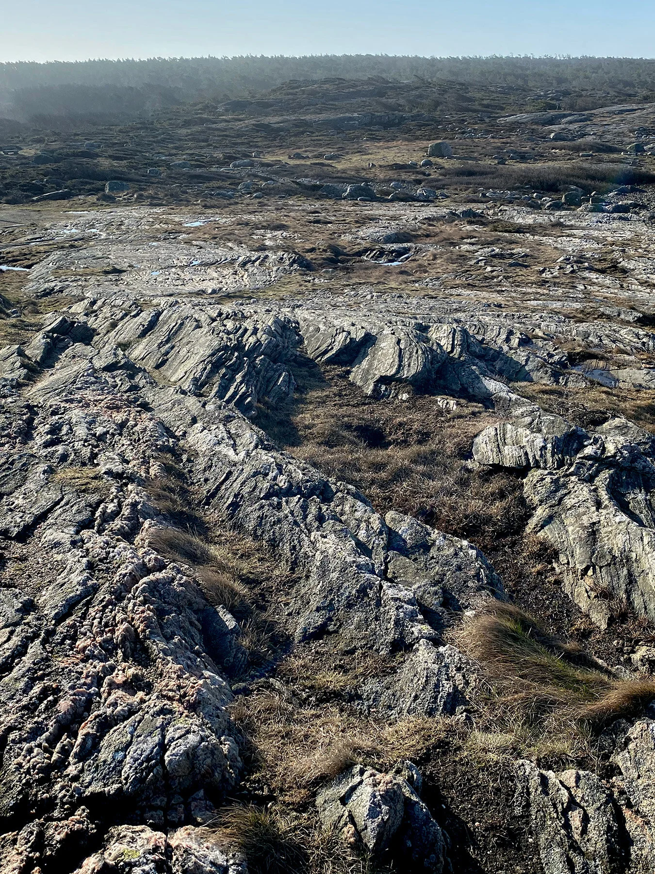 blogg-210330langpromenad8.jpg