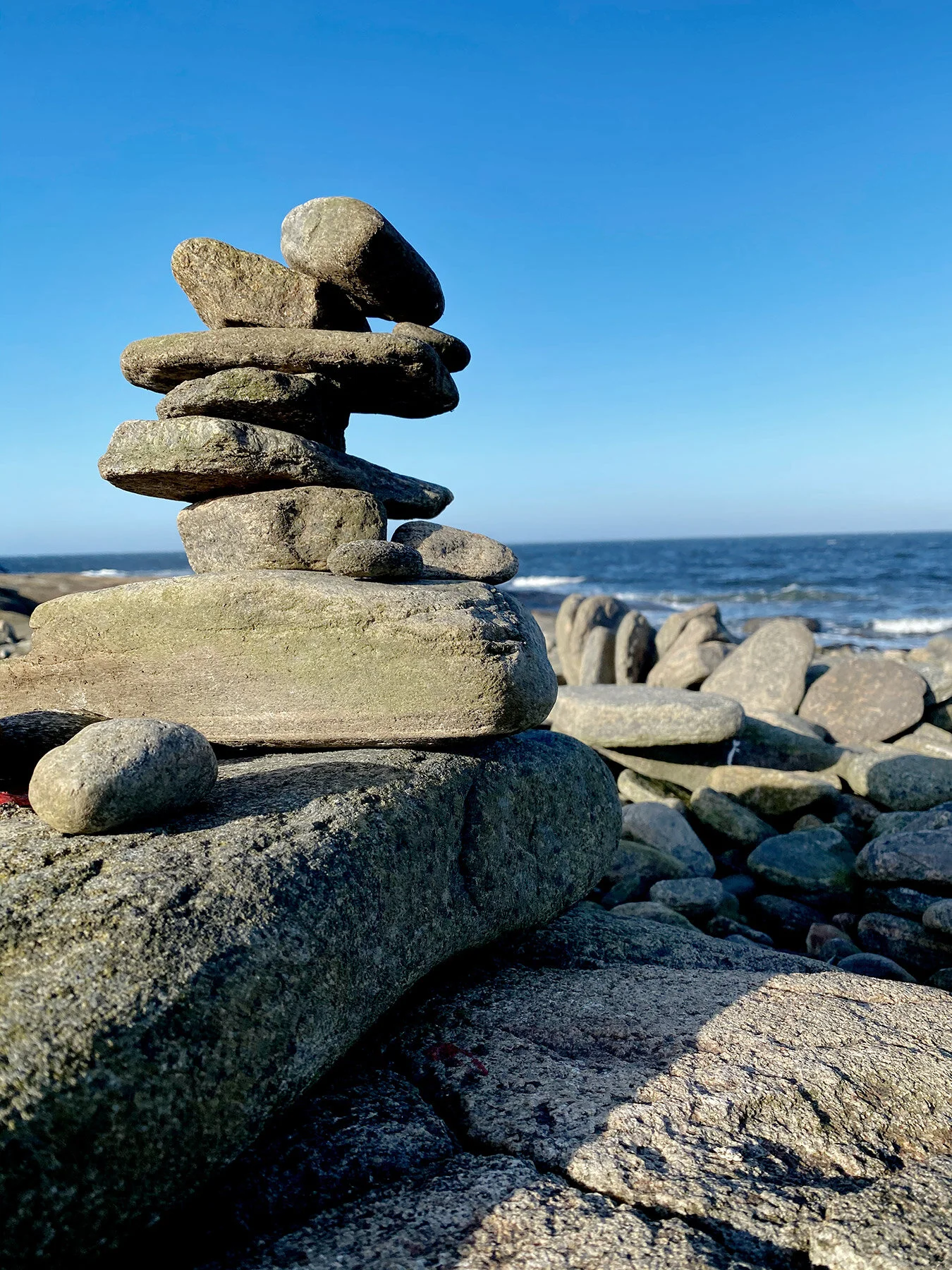 blogg-210330langpromenad11.jpg