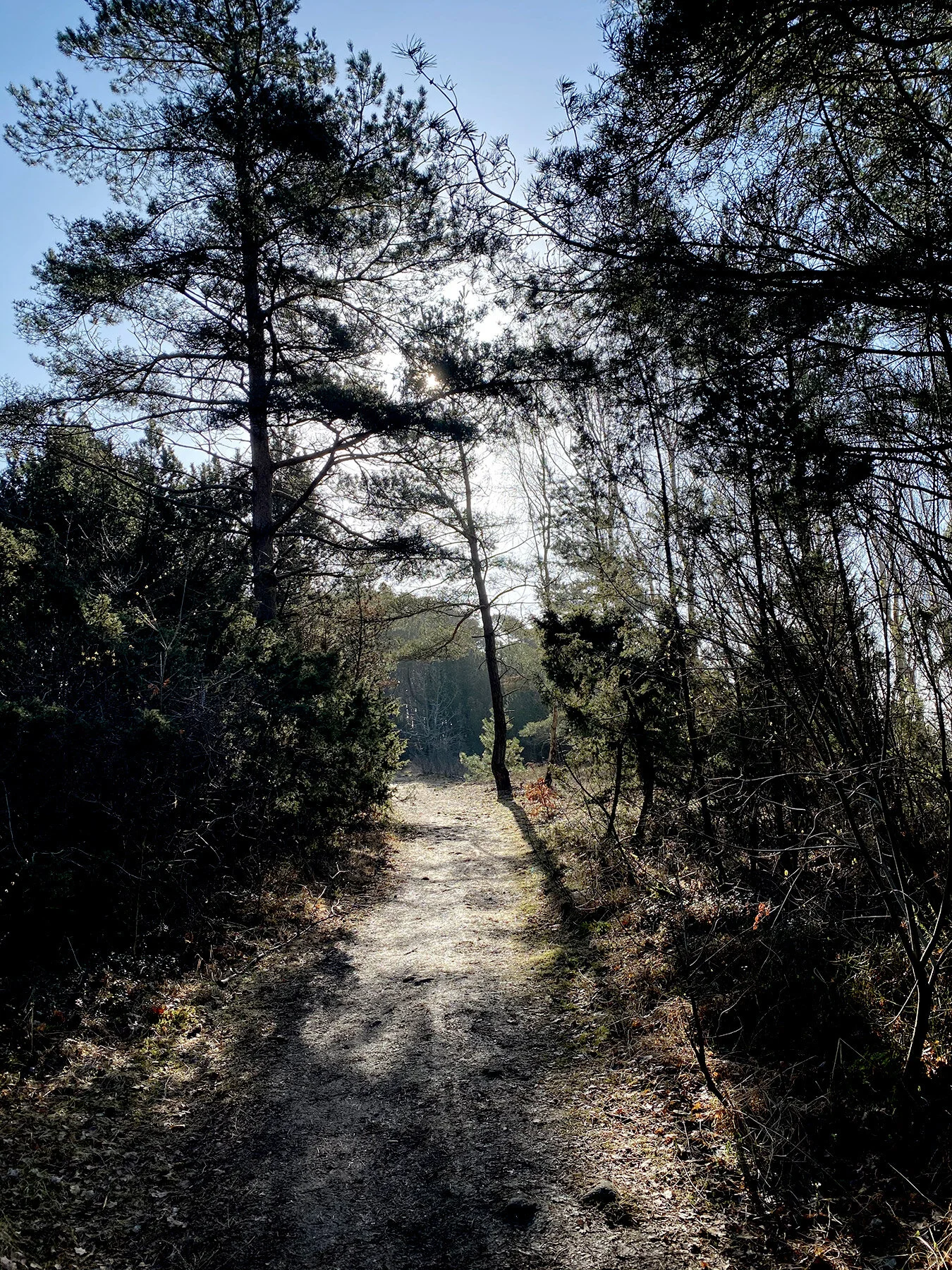 blogg-210330langpromenad13.jpg