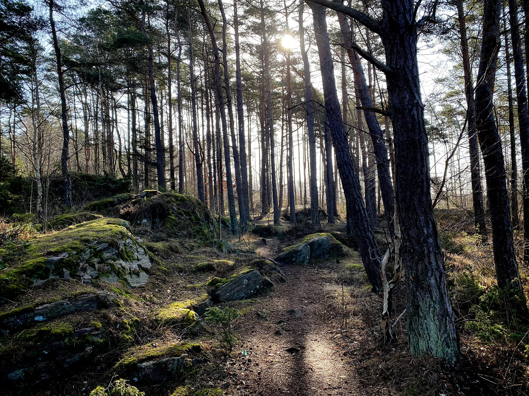 blogg-210330langpromenad15.jpg