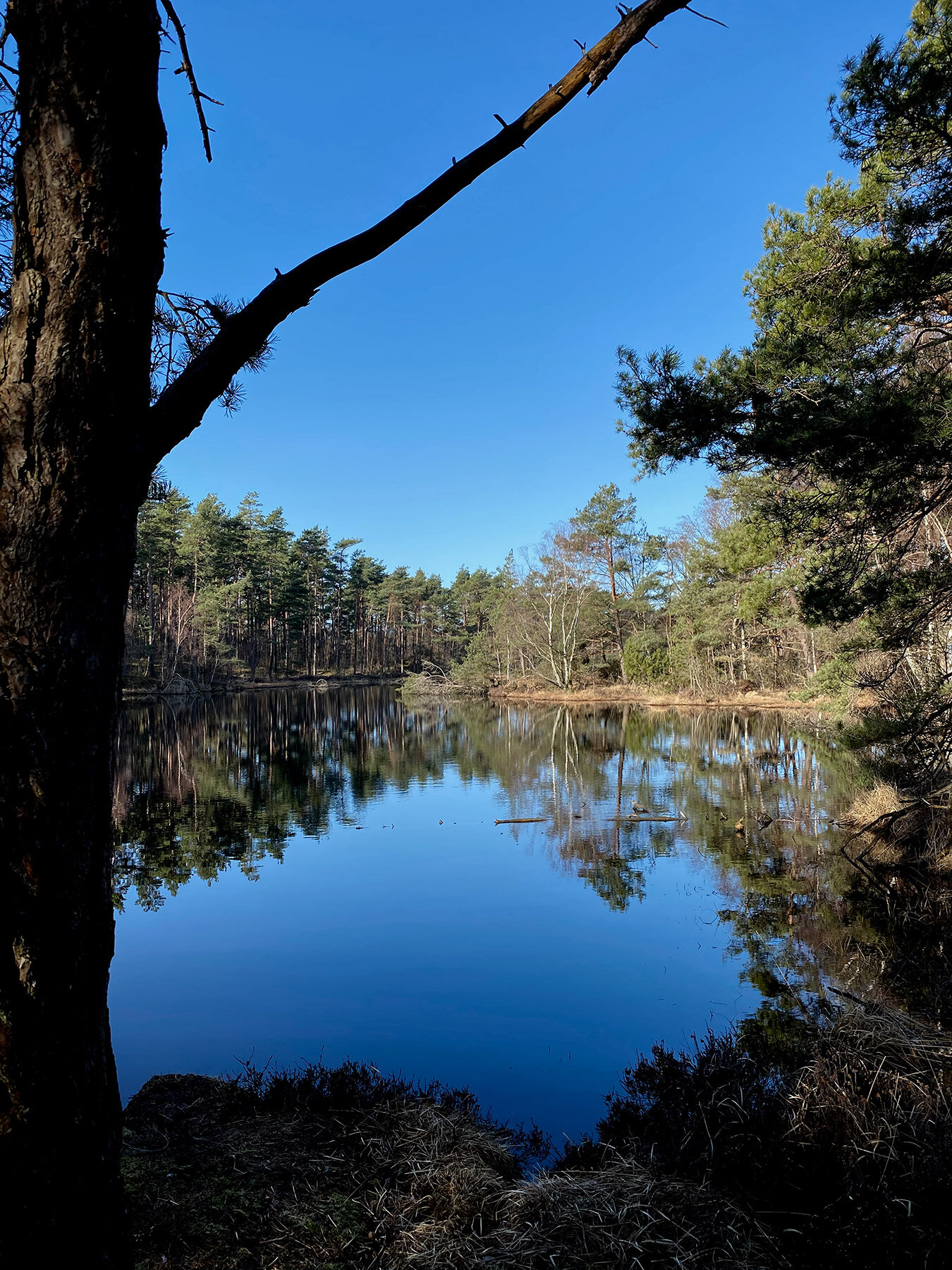 blogg-210330langpromenad16.jpg