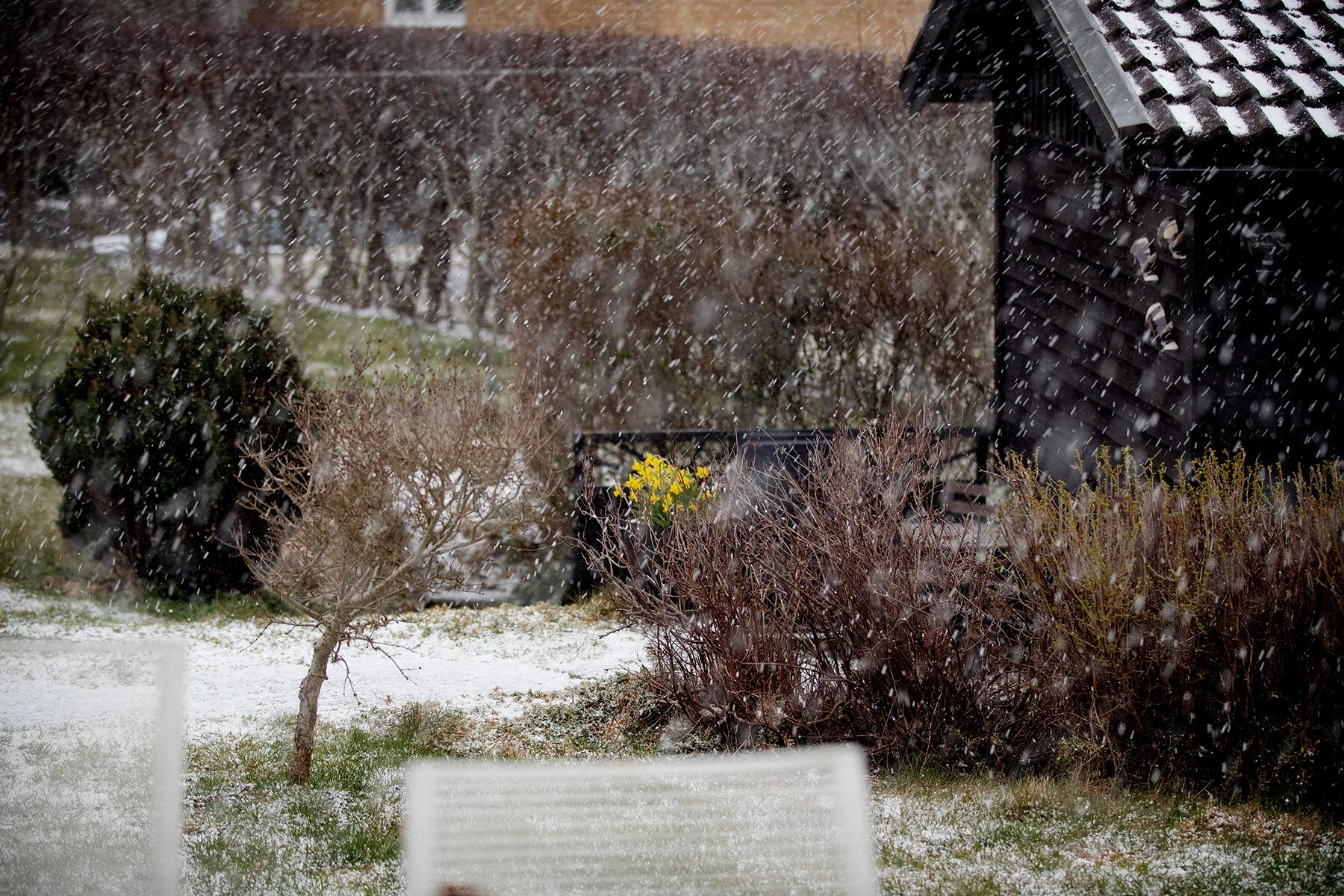 blogg-210405aprilvinter6.jpg