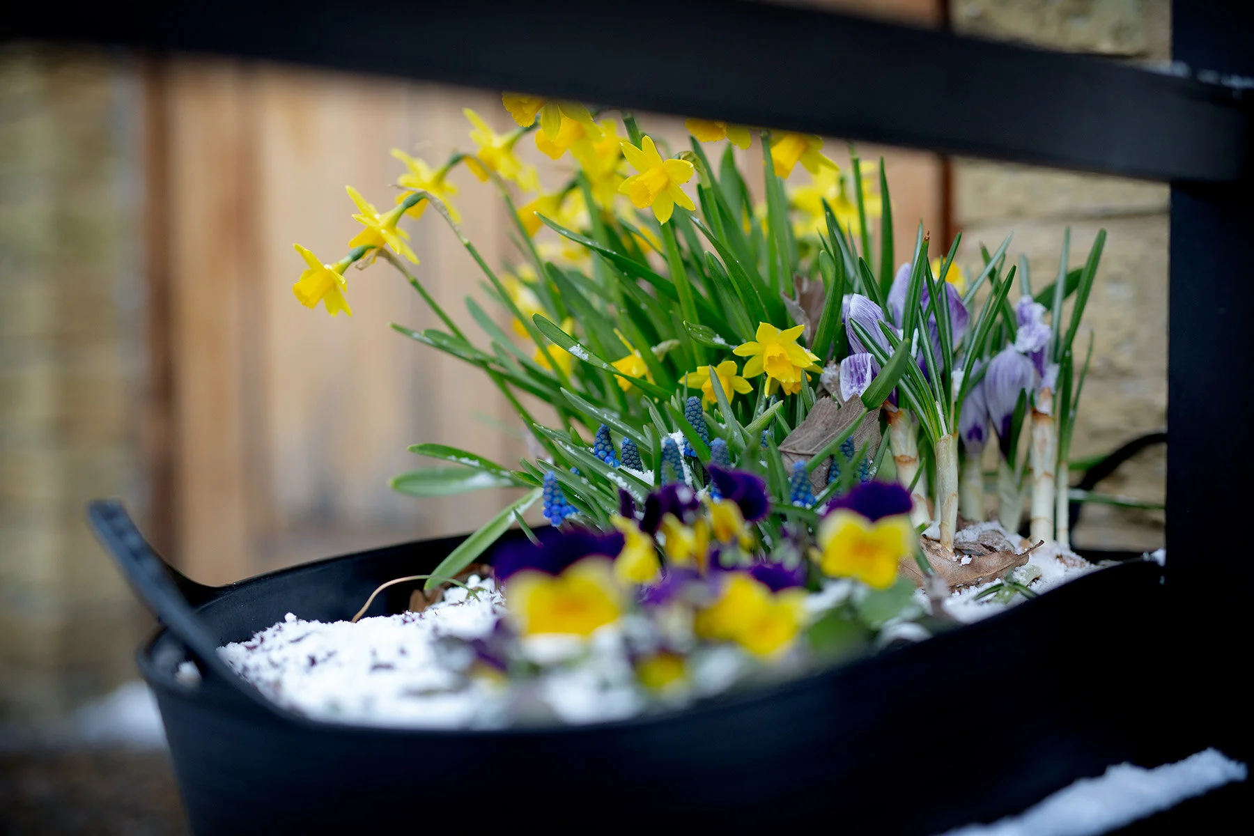 blogg-210405aprilvinter7.jpg