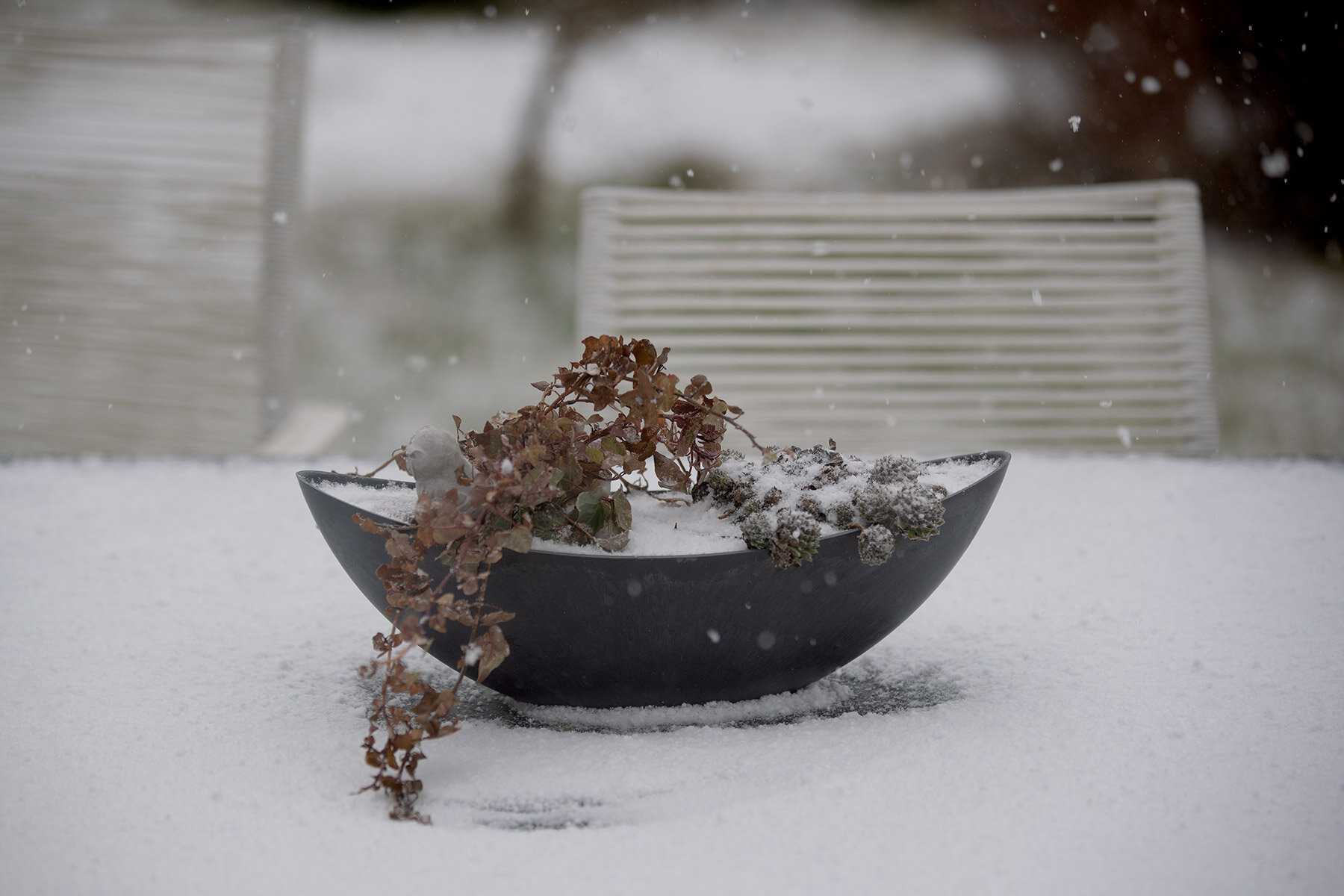 blogg-210405aprilvinter5.jpg