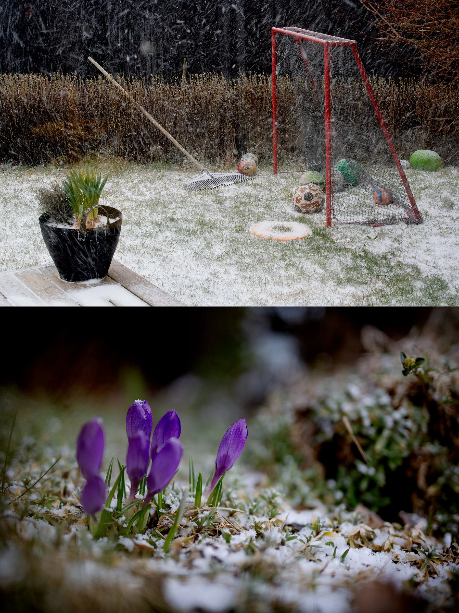Aprilvinter