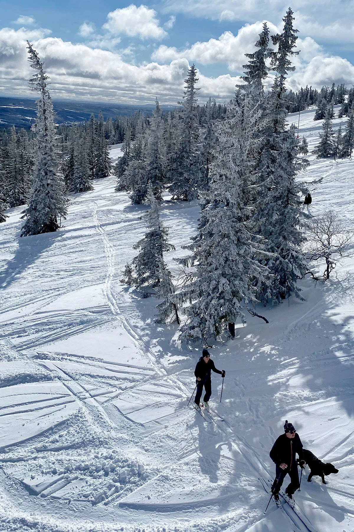 blogg-210413salentisdagbacken12.jpg