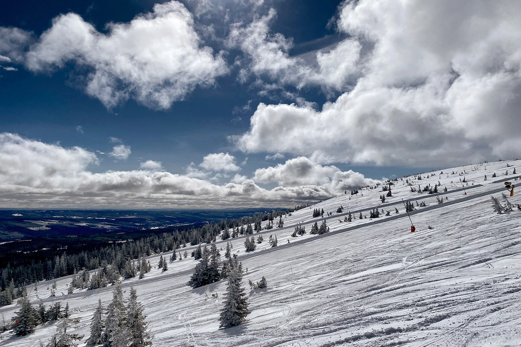 blogg-210413salentisdagbacken13.jpg