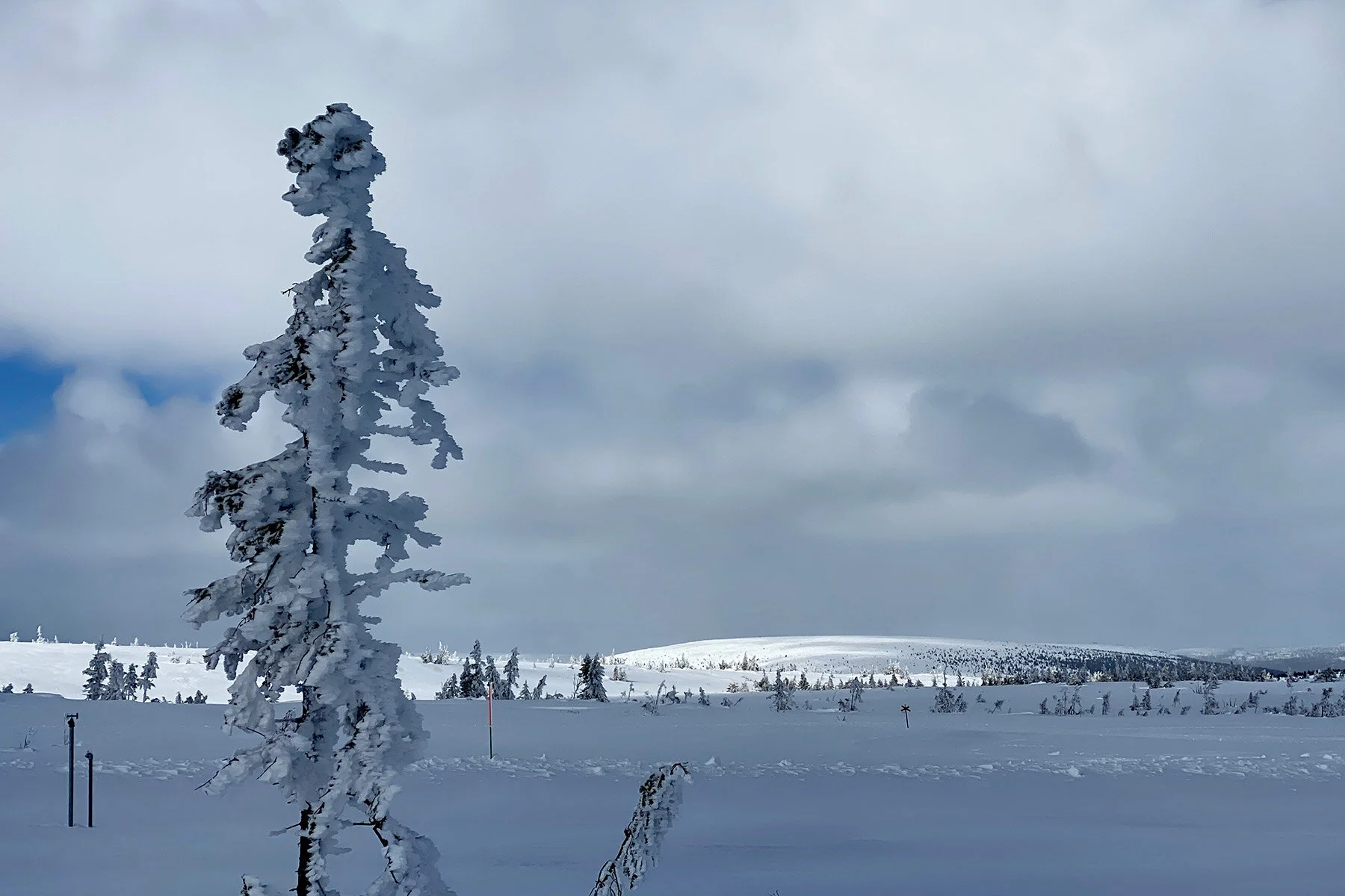 blogg-210413salentisdagbacken17.jpg