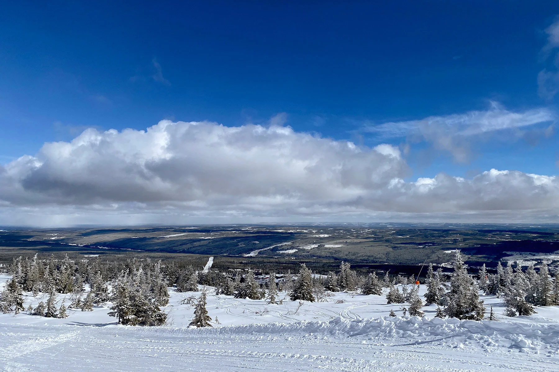 blogg-210413salentisdagbacken18.jpg