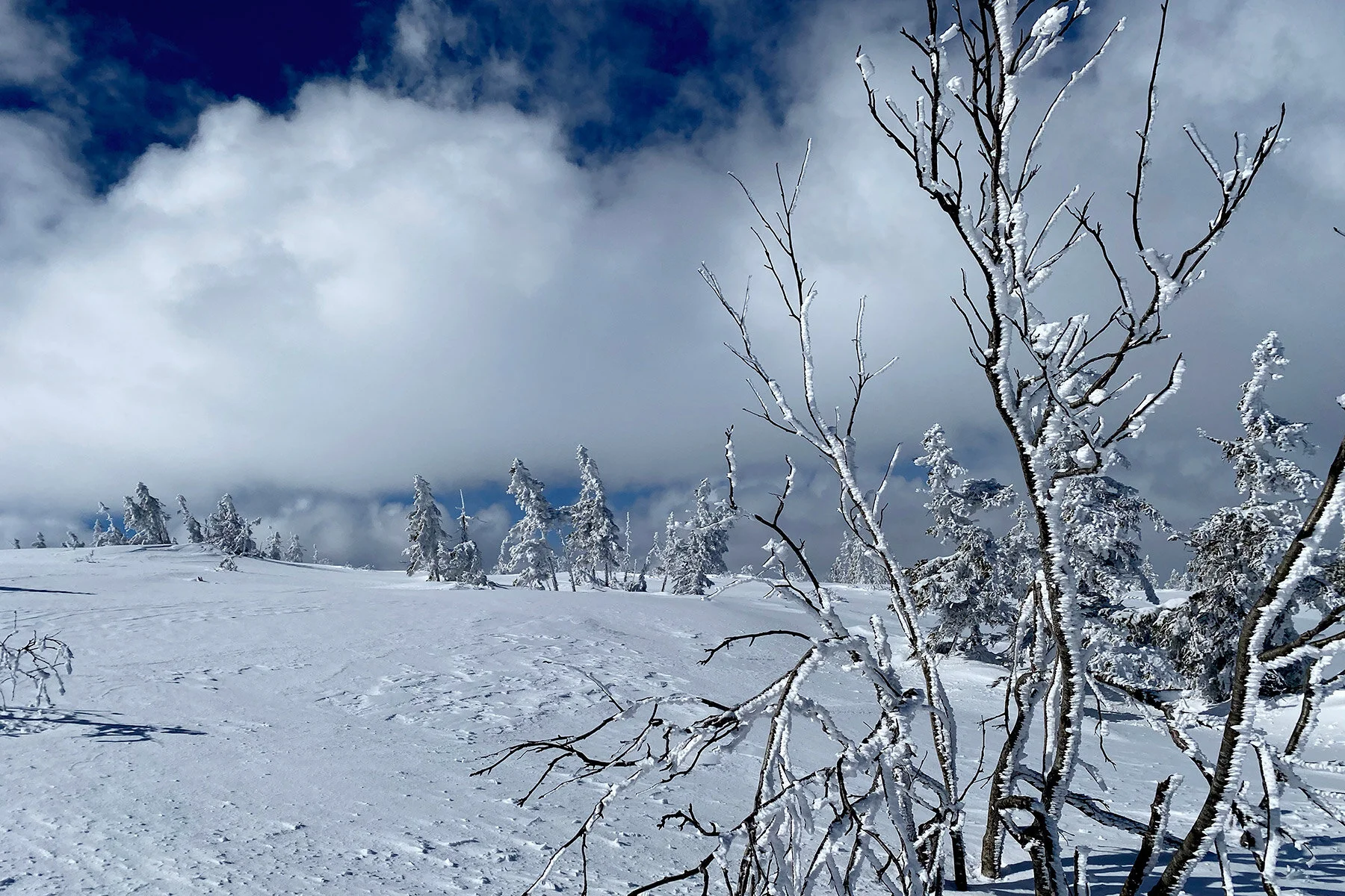 blogg-210413salentisdagbacken19.jpg