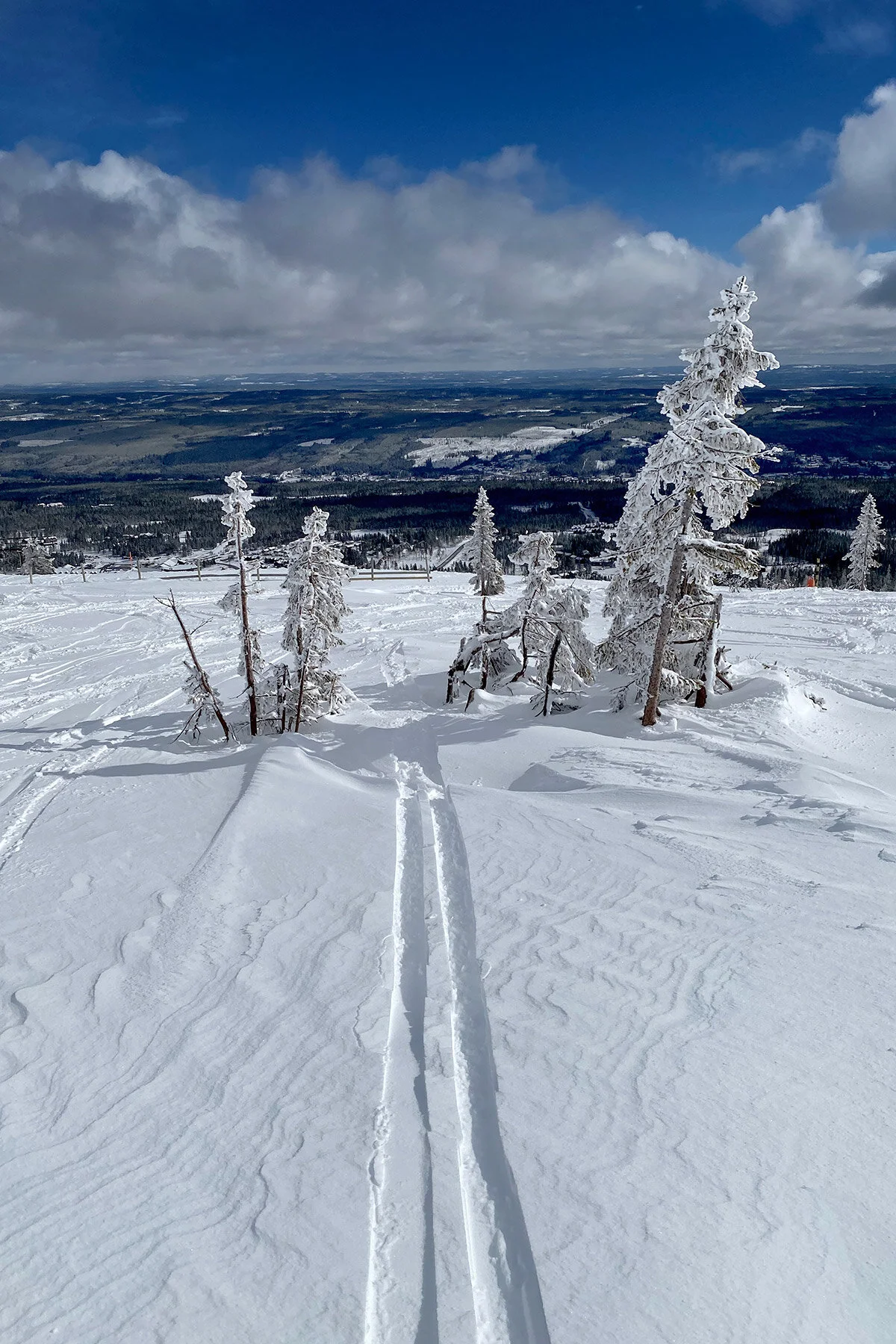 blogg-210413salentisdagbacken21.jpg