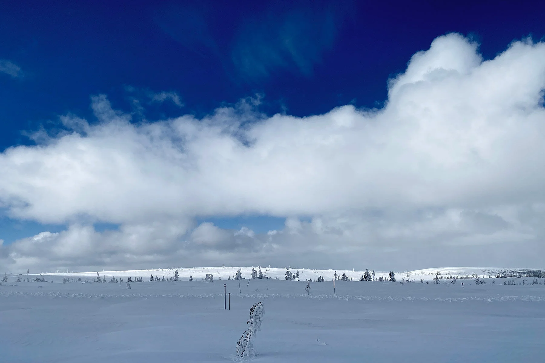 blogg-210413salentisdagbacken22.jpg